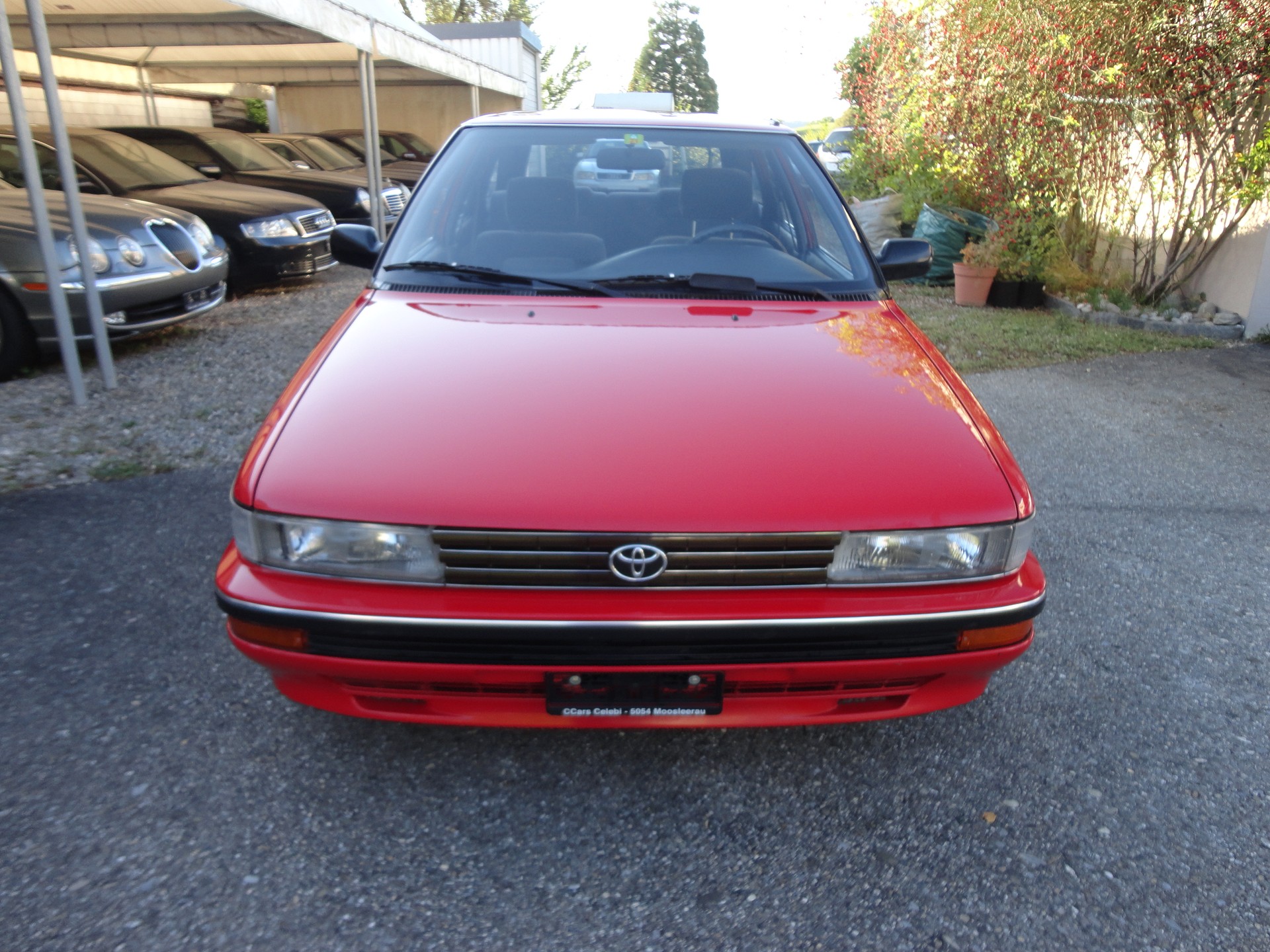 TOYOTA Corolla 1.6 Lb Olymp.Gold-image-2