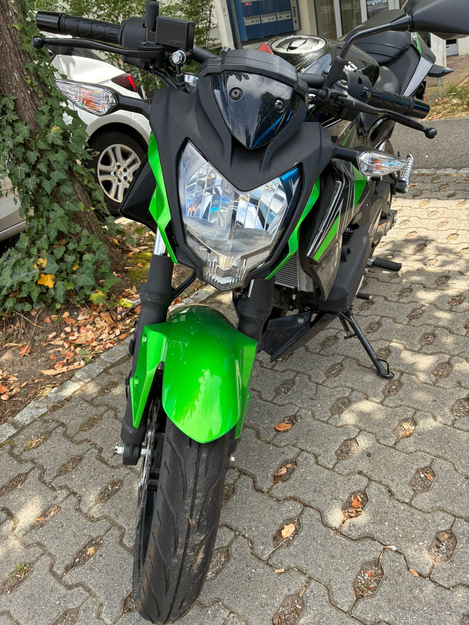 KAWASAKI Z 125-image-2