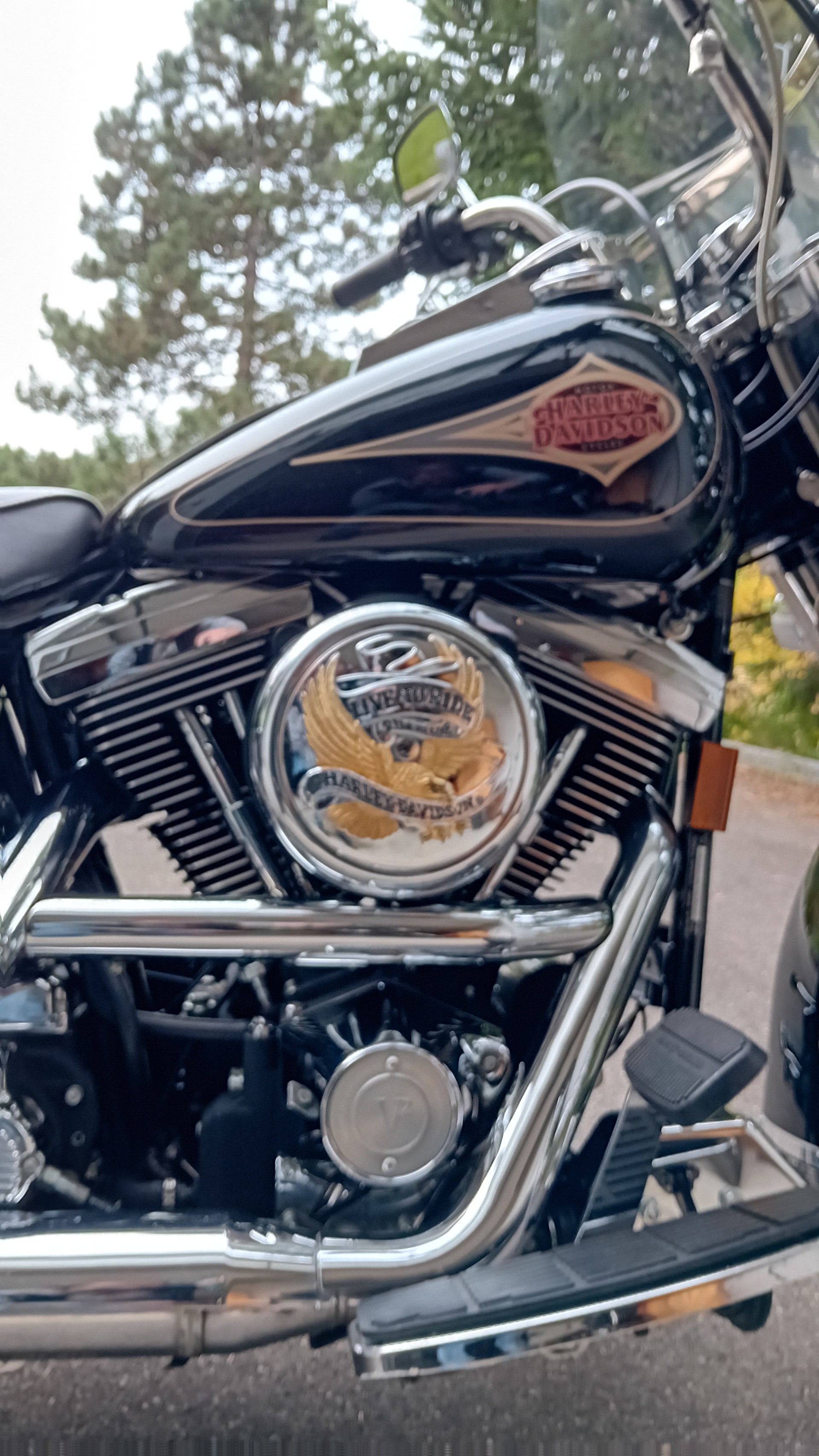 HARLEY-DAVIDSON FLSTC Softail Classic-image-5