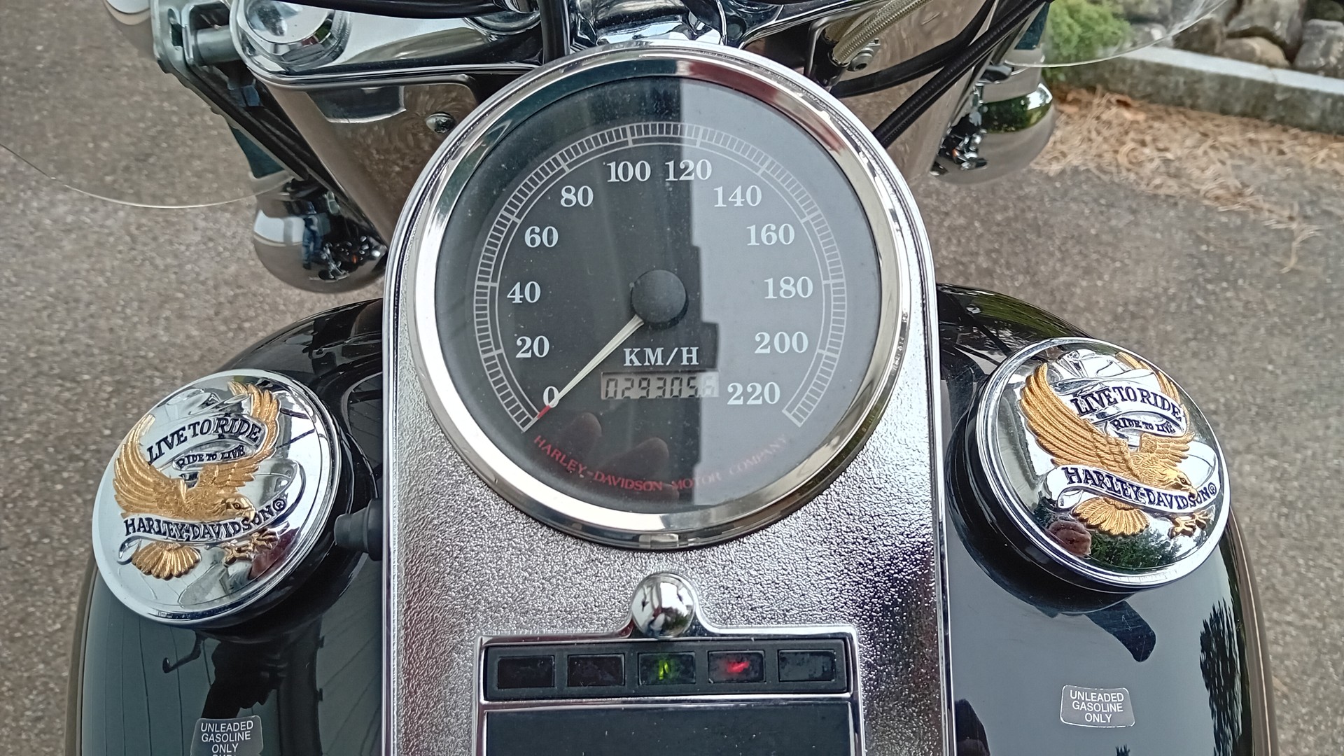 HARLEY-DAVIDSON FLSTC Softail Classic-image-7