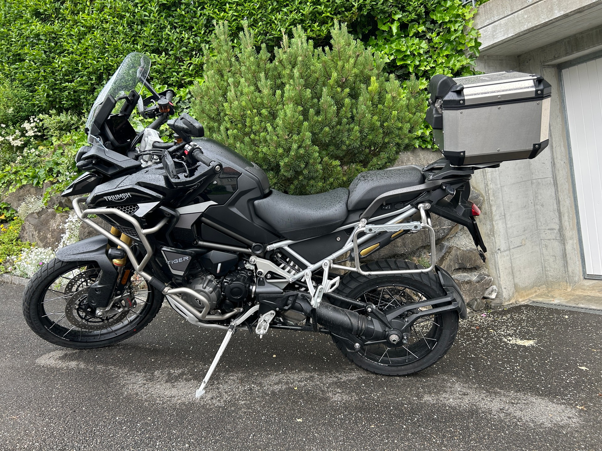 TRIUMPH Tiger 1200 Rally Explorer-image-0