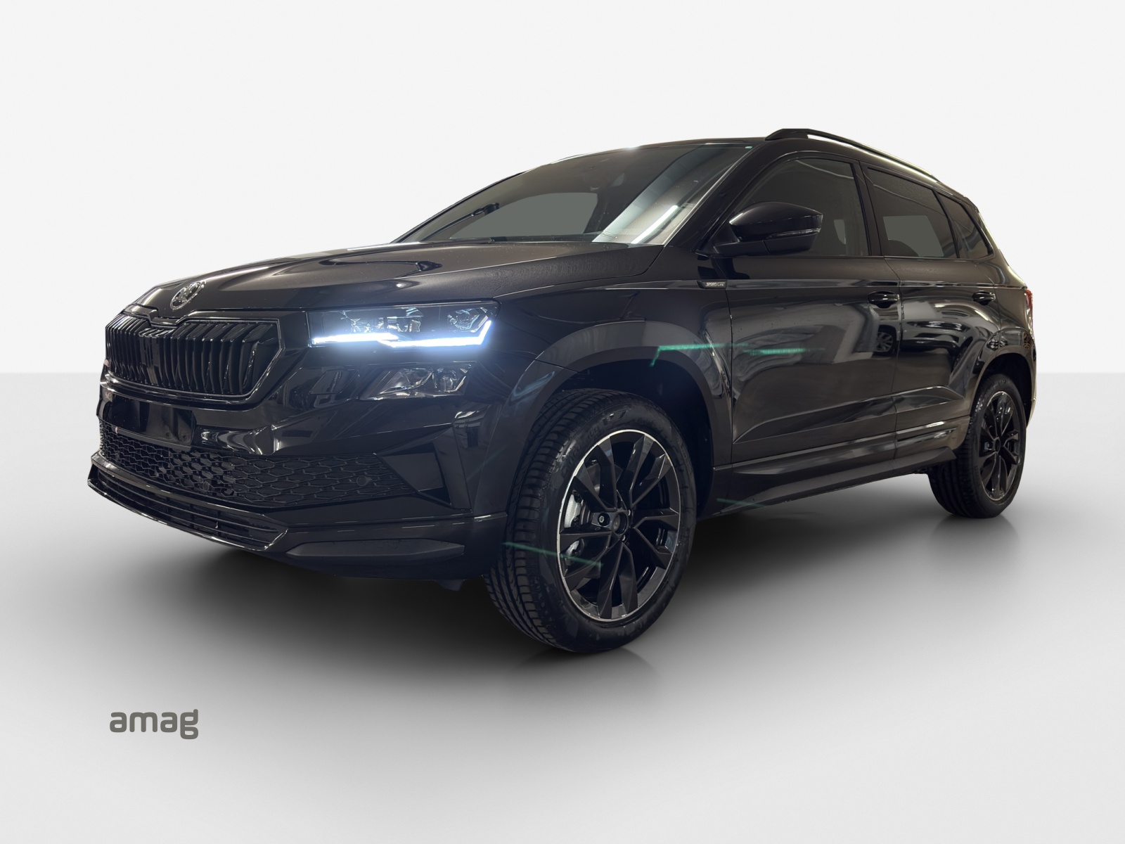 SKODA Karoq 2.0 TSI Dynamic Limited Edition 4x4 DSG