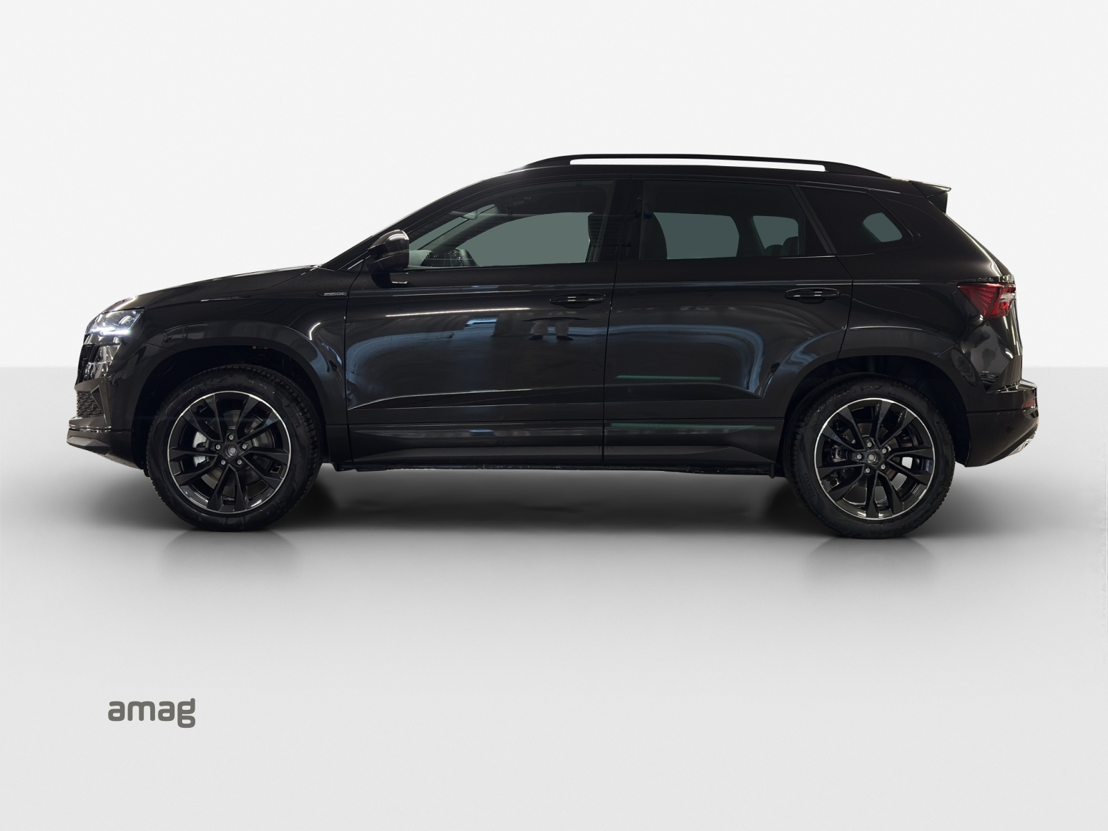 SKODA Karoq 2.0 TSI Dynamic Limited Edition 4x4 DSG-showroom-element-1