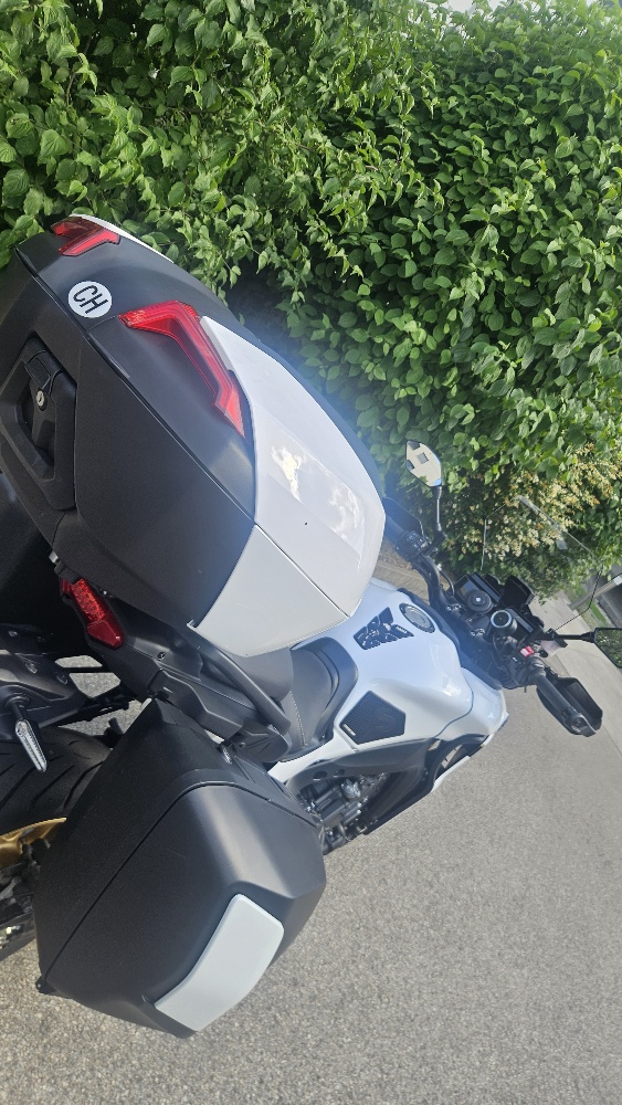 YAMAHA GT-image-11