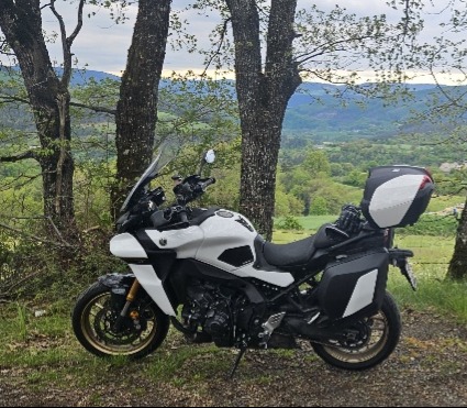 YAMAHA GT-image-12
