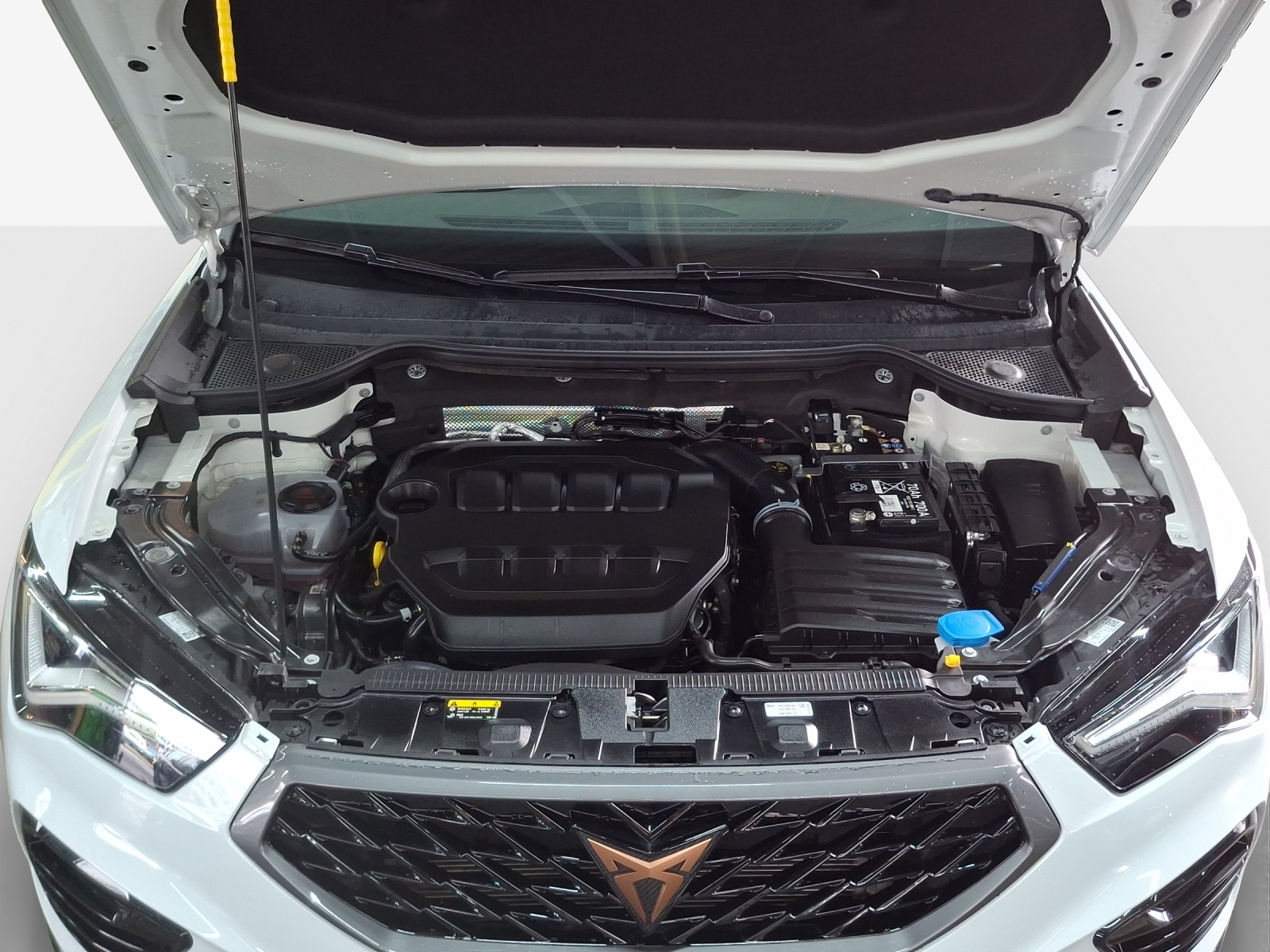 CUPRA Ateca 2.0TSI 4Drive DSG-image-15