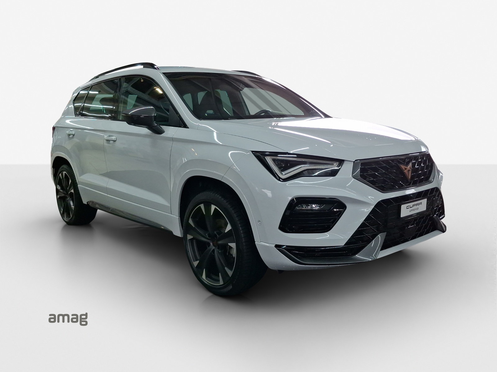 CUPRA Ateca 2.0TSI 4Drive DSG-image-5