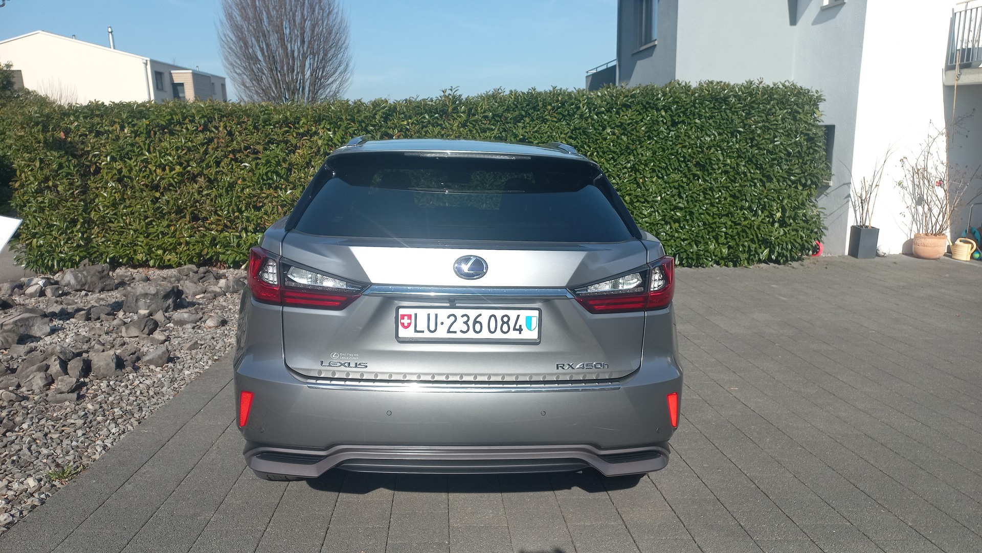 LEXUS RX 450h diamond F-Sport AWD CVT-image-1