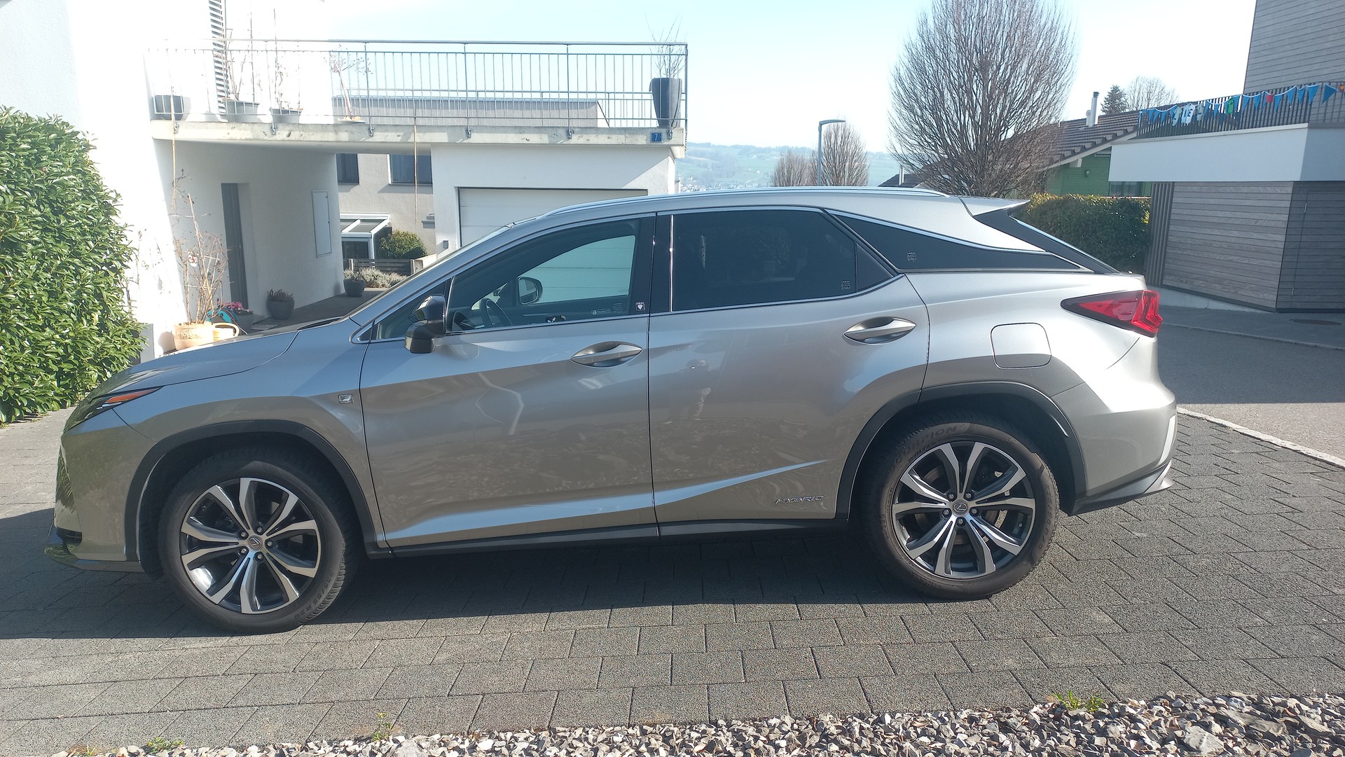 LEXUS RX 450h diamond F-Sport AWD CVT