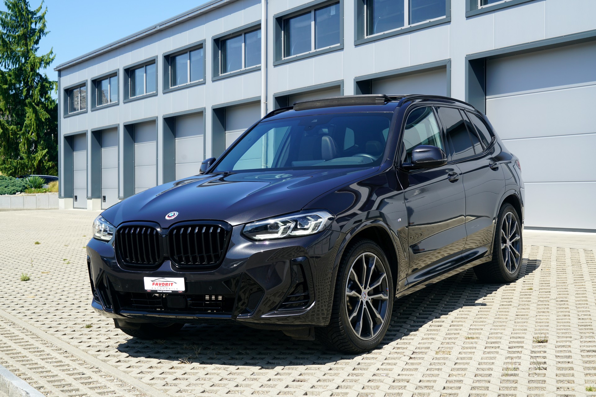 BMW X3 xDrive 30i M Sport (CH)-image-10