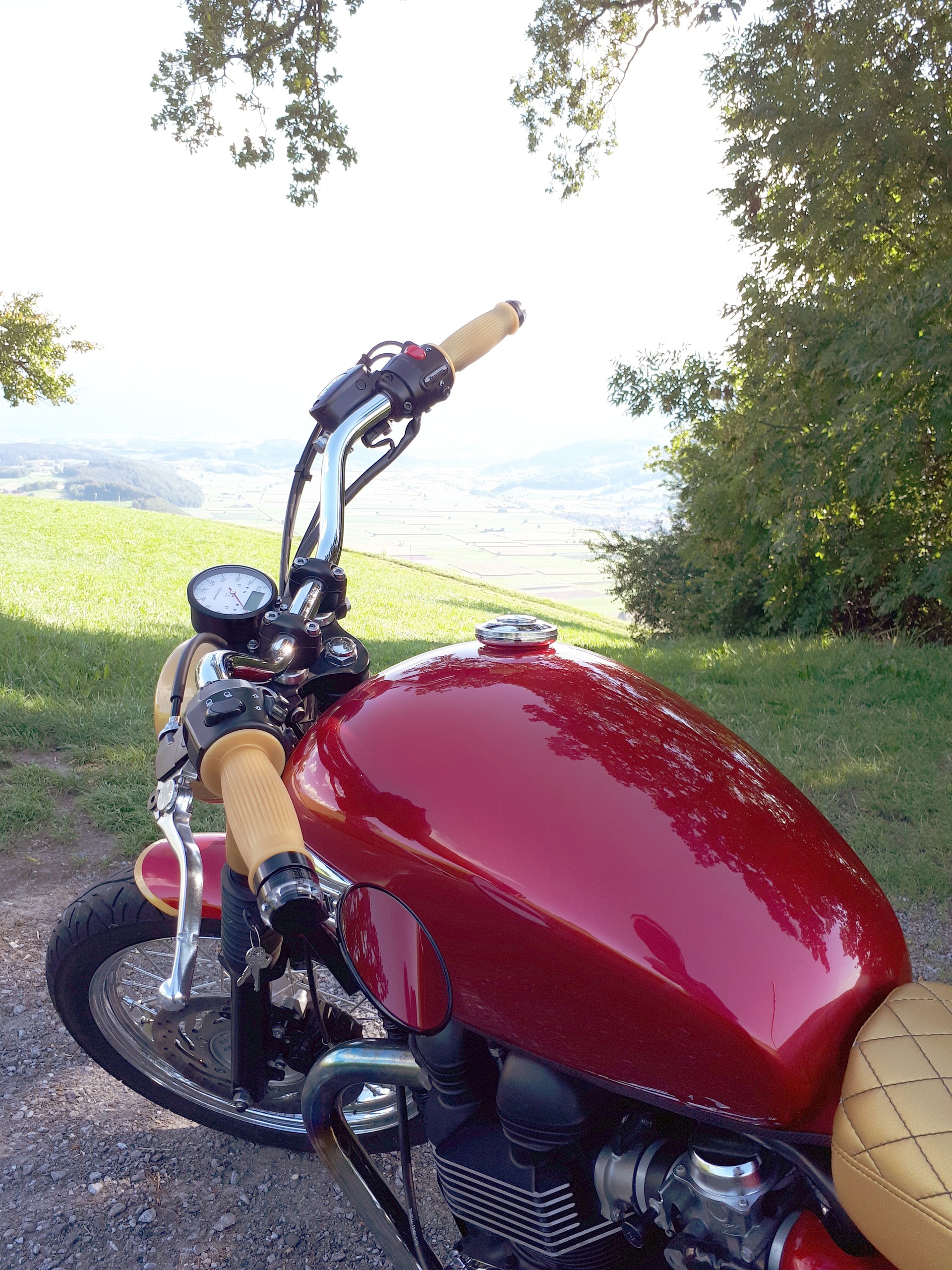 TRIUMPH Bonneville T100-image-2