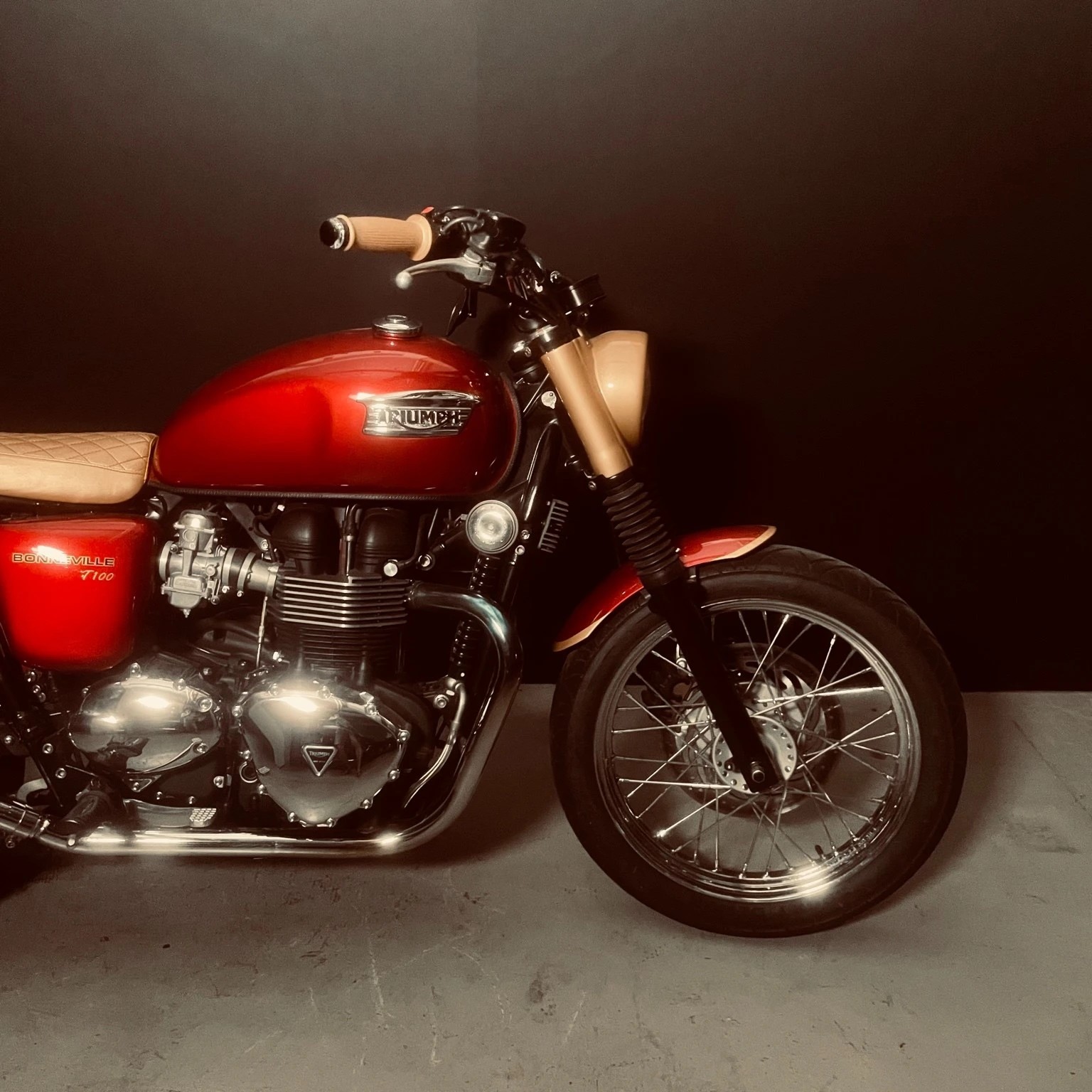 TRIUMPH Bonneville T100-image-8