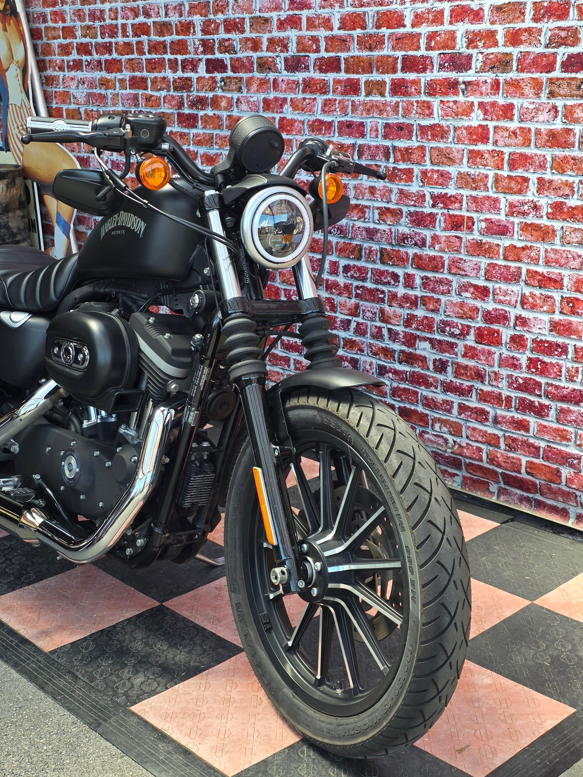 HARLEY-DAVIDSON XL 883 N Sportster Iron-image-4