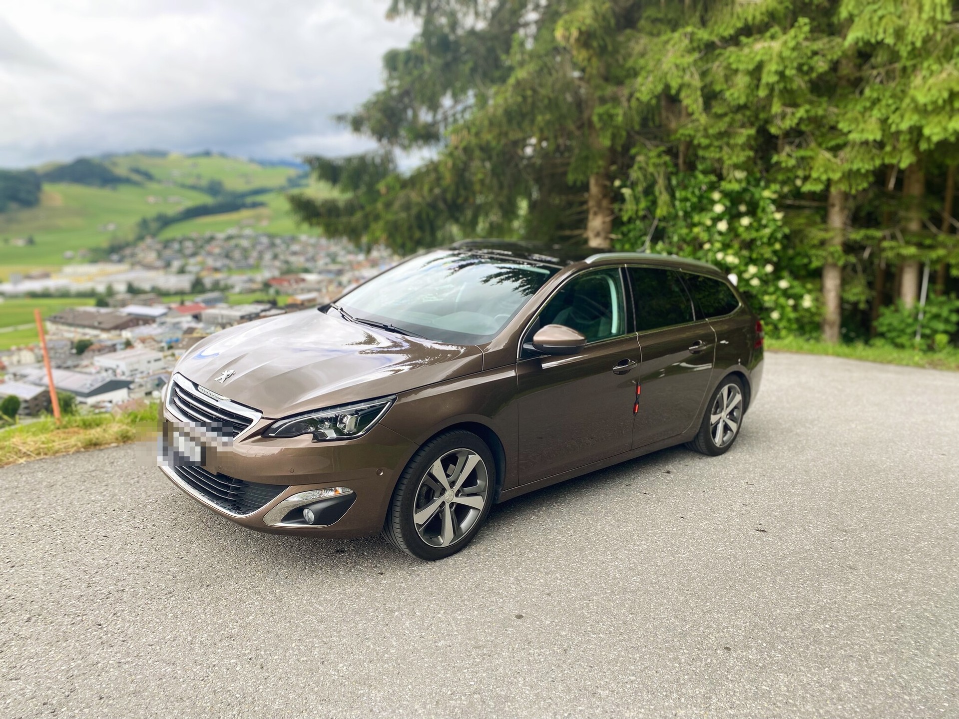 PEUGEOT 1.2 PureTech 130 Feline S/S