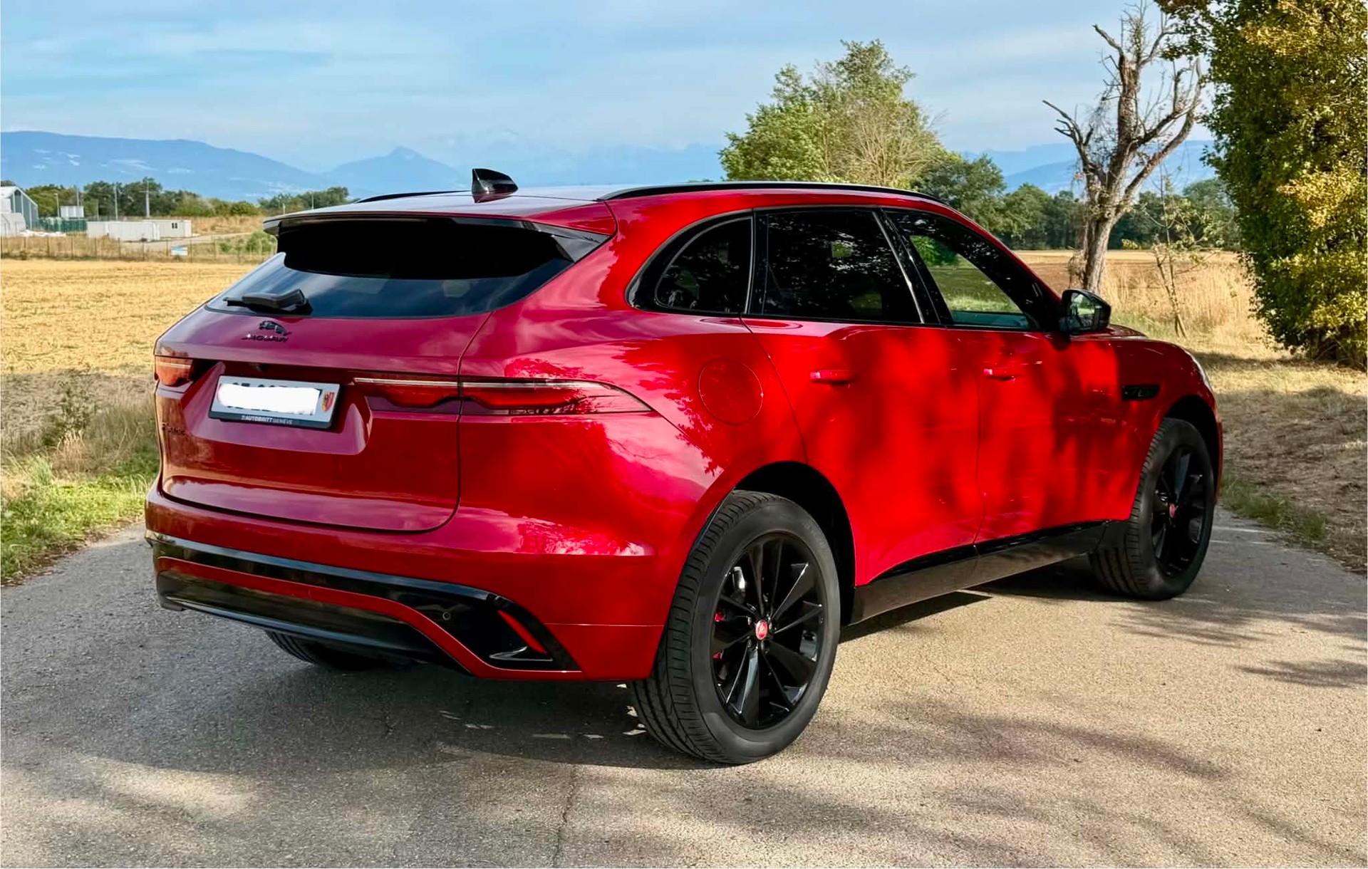 JAGUAR 2.0 I4 250 R-Dynamic Black AWD-image-1