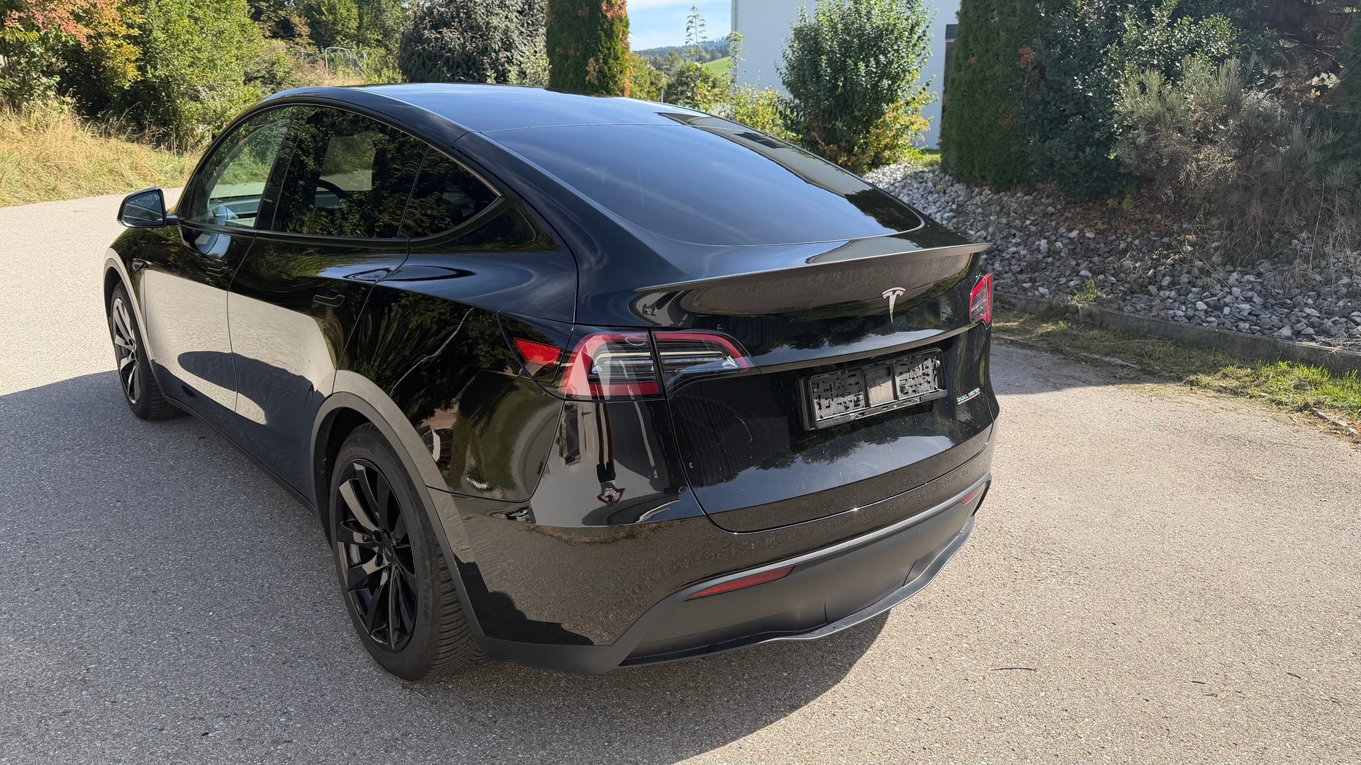 TESLA Performance D-image-3