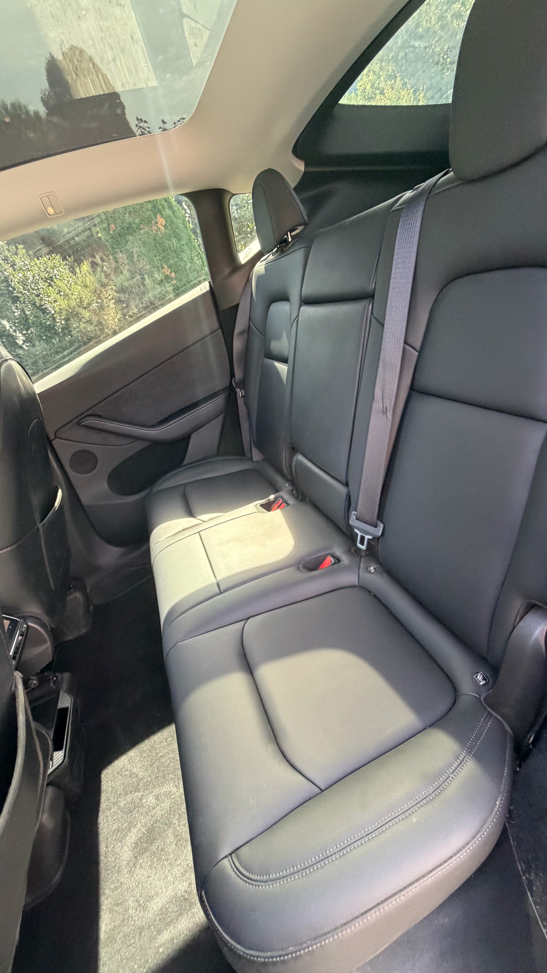 TESLA Performance D-image-9
