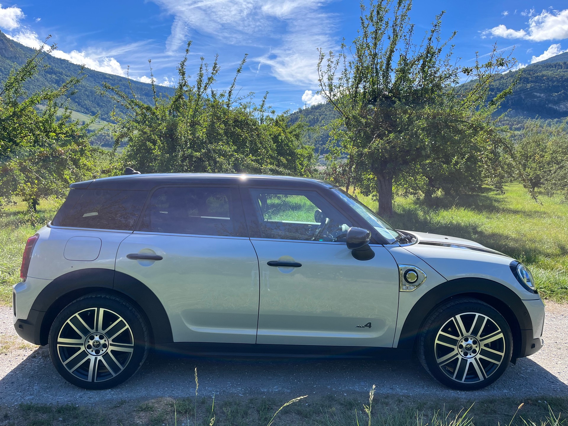 MINI Mini Countryman Cooper SE Trafalgar ALL4 PHEV Steptronic-image-4