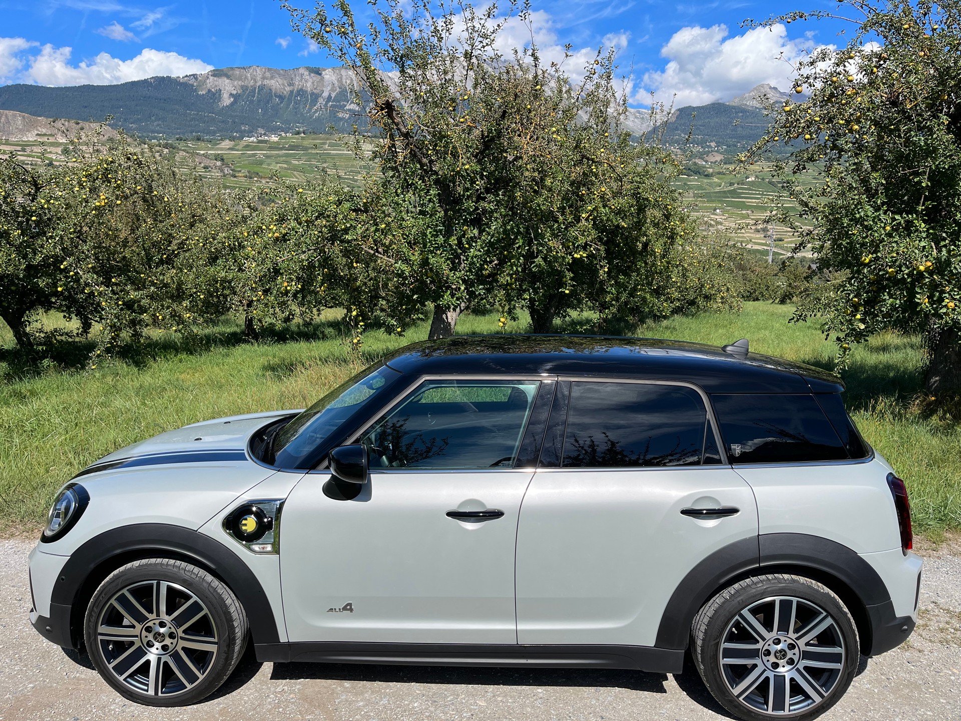 MINI Mini Countryman Cooper SE Trafalgar ALL4 PHEV Steptronic-image-10