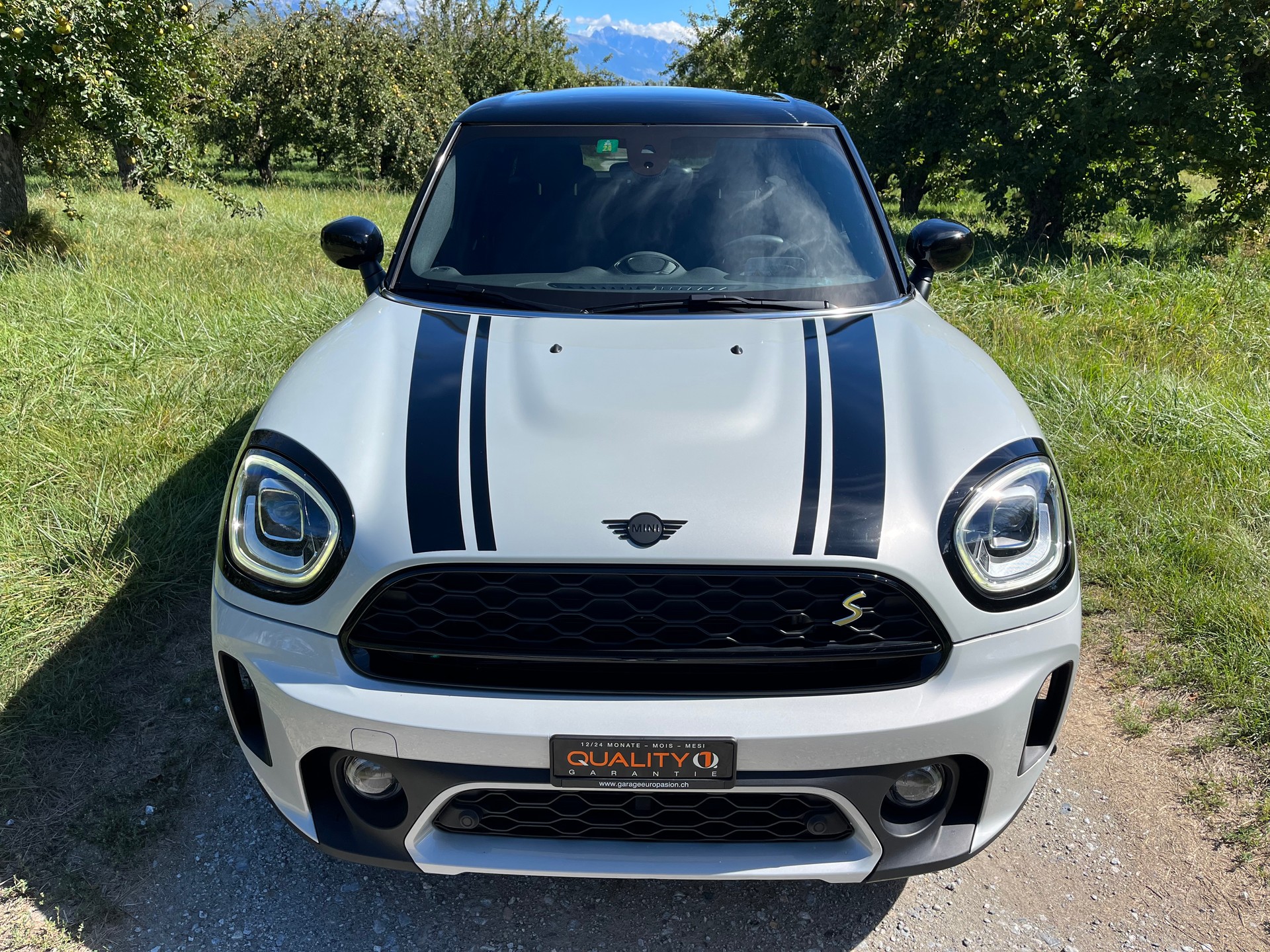 MINI Mini Countryman Cooper SE Trafalgar ALL4 PHEV Steptronic-showroom-element-3