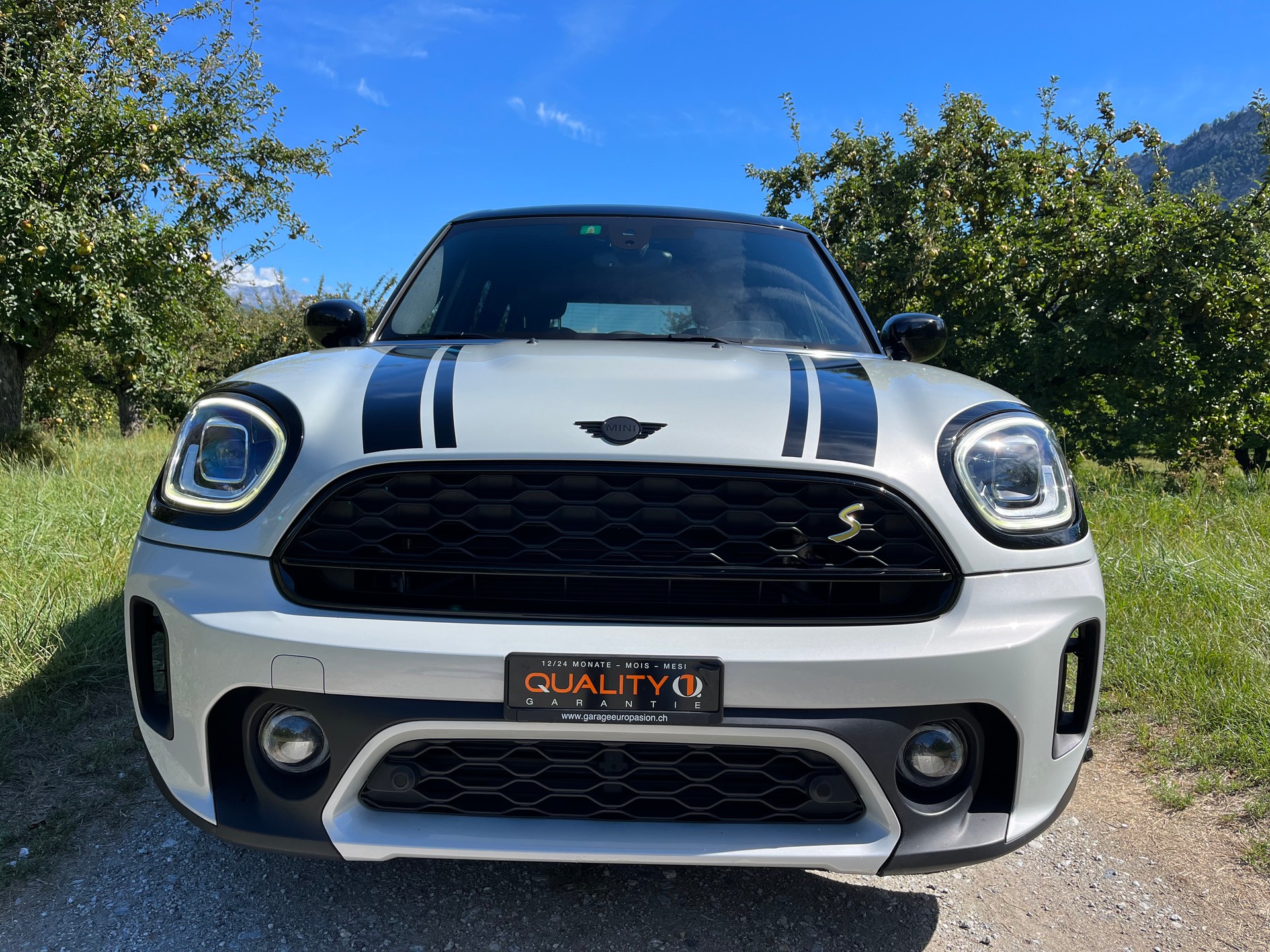 MINI Mini Countryman Cooper SE Trafalgar ALL4 PHEV Steptronic-showroom-element-2