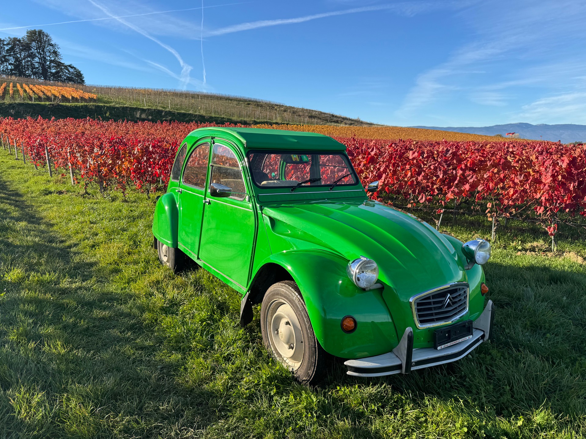 CITROEN 2CV6 Spécial (Club)-image-2
