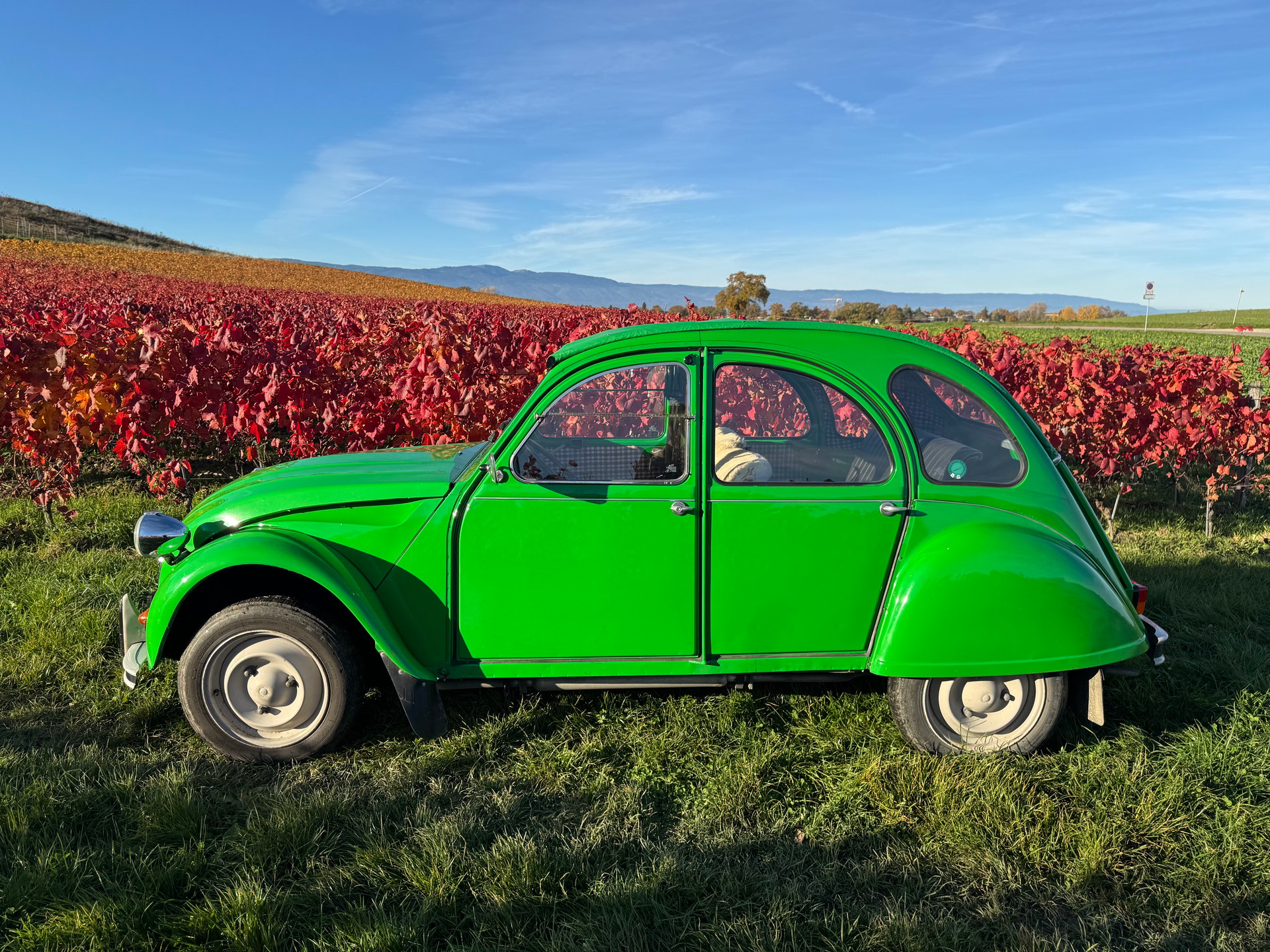 CITROEN 2CV6 Spécial (Club)-image-1