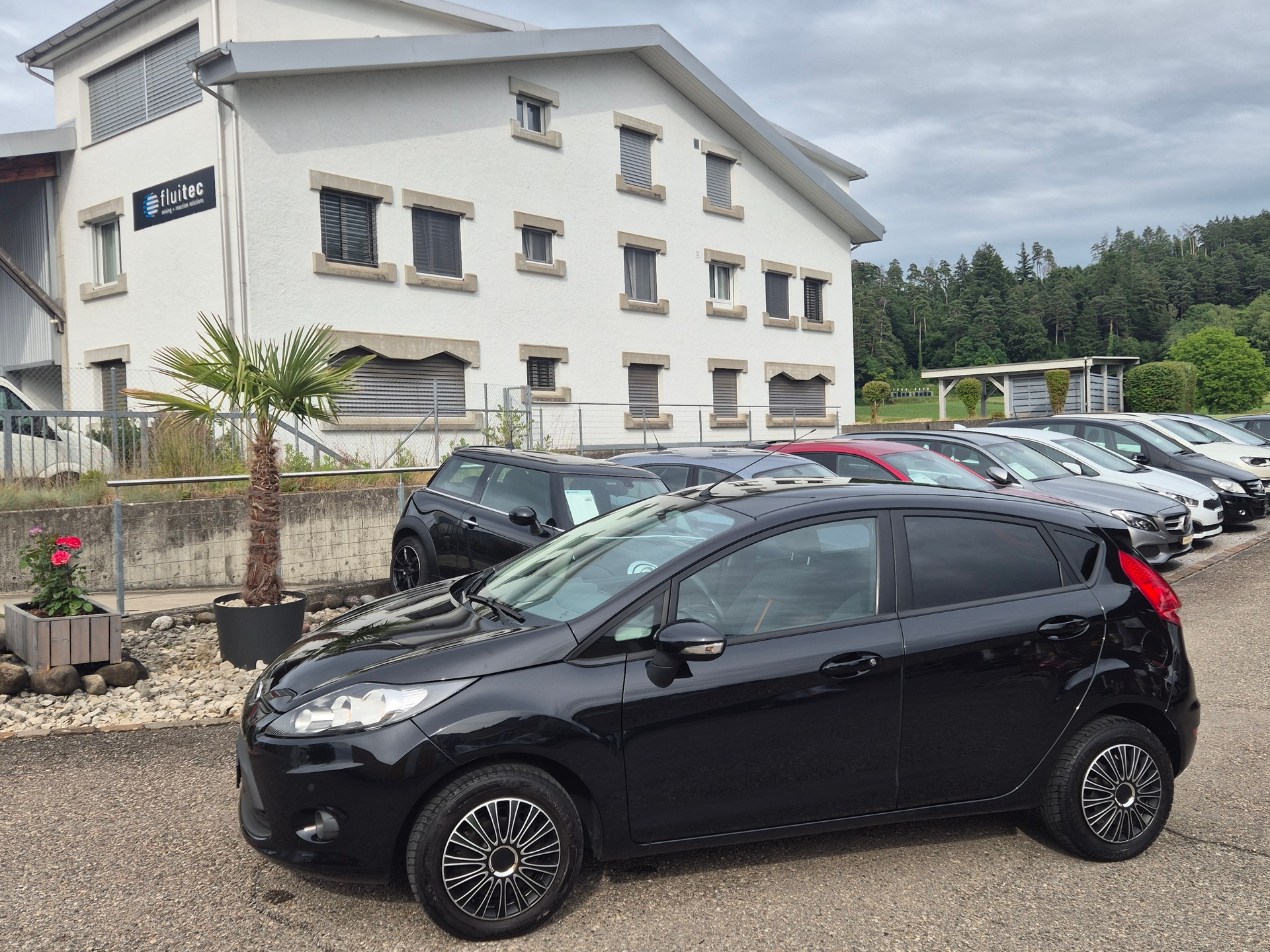 FORD Fiesta 1.4 16V Colourline Automatic-image-5