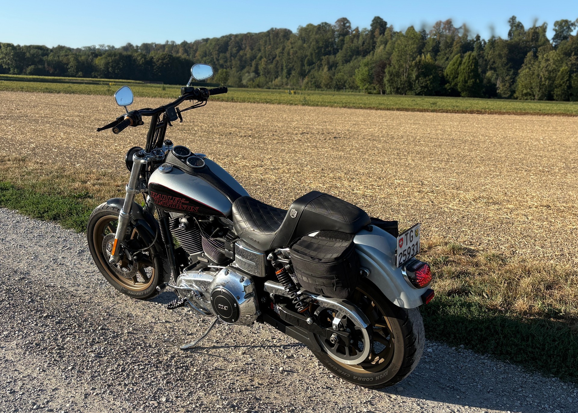 HARLEY-DAVIDSON FXDL Dyna Low Rider ABS-image-1