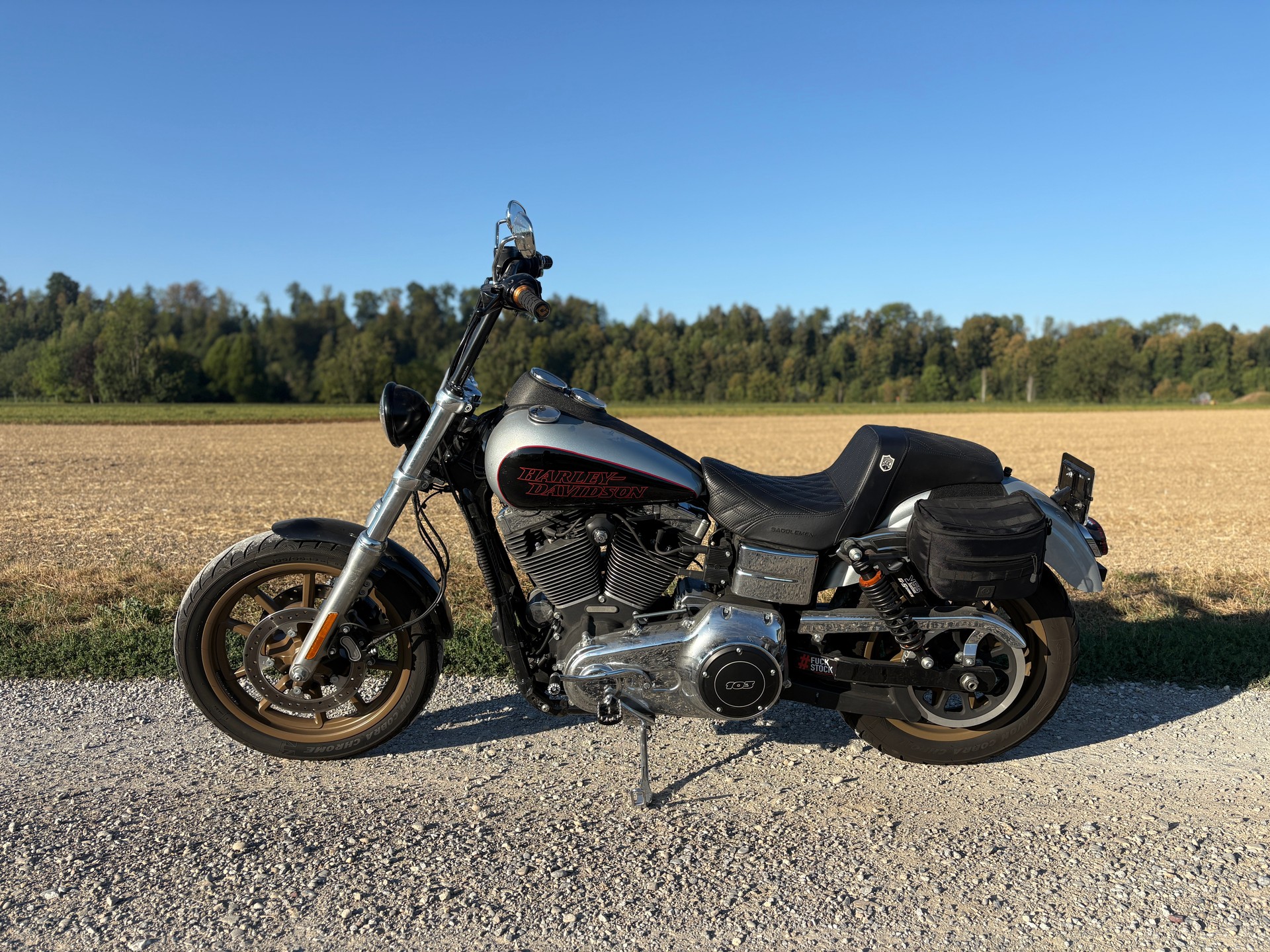 HARLEY-DAVIDSON FXDL Dyna Low Rider ABS-image-0
