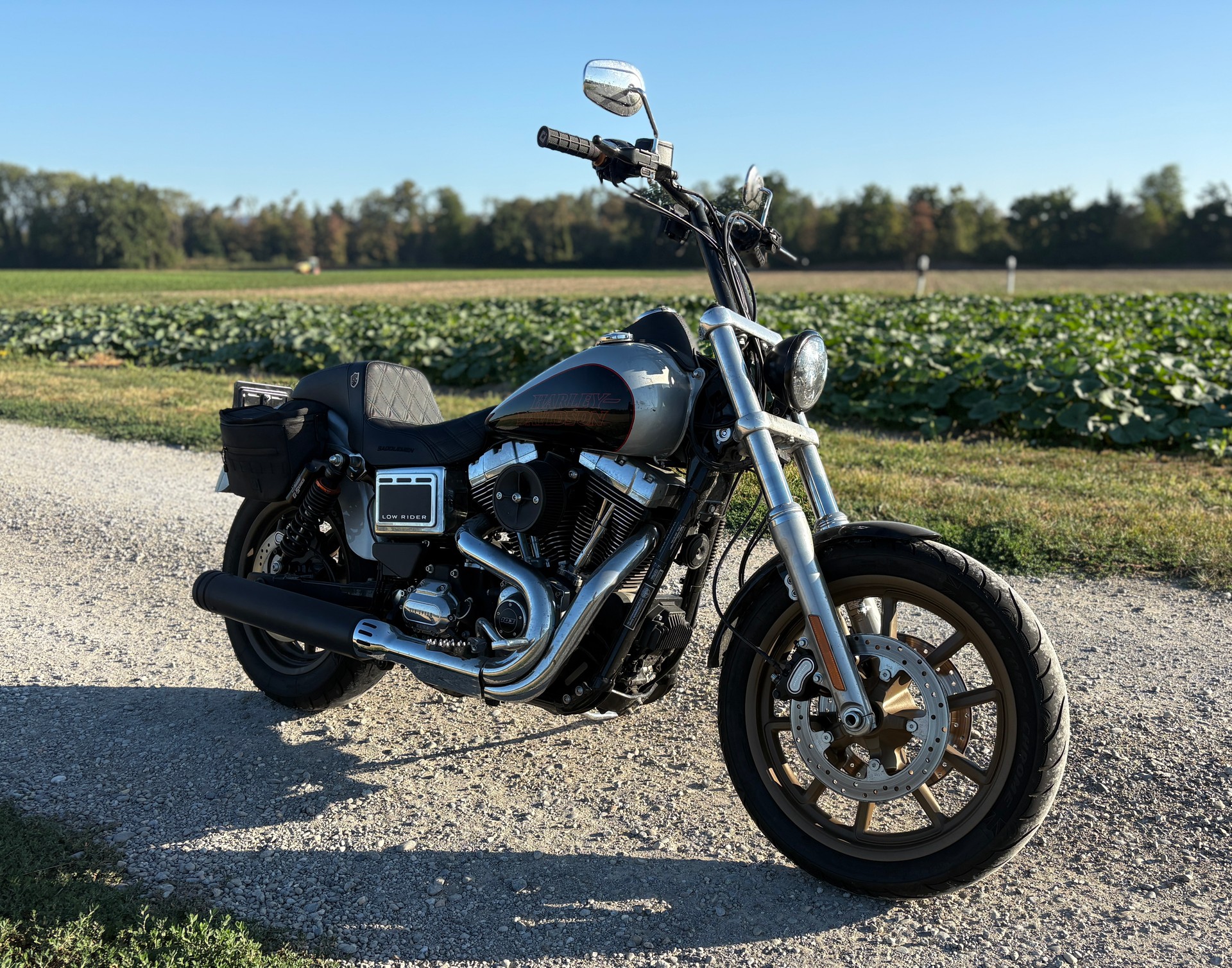 HARLEY-DAVIDSON FXDL Dyna Low Rider ABS-image-4