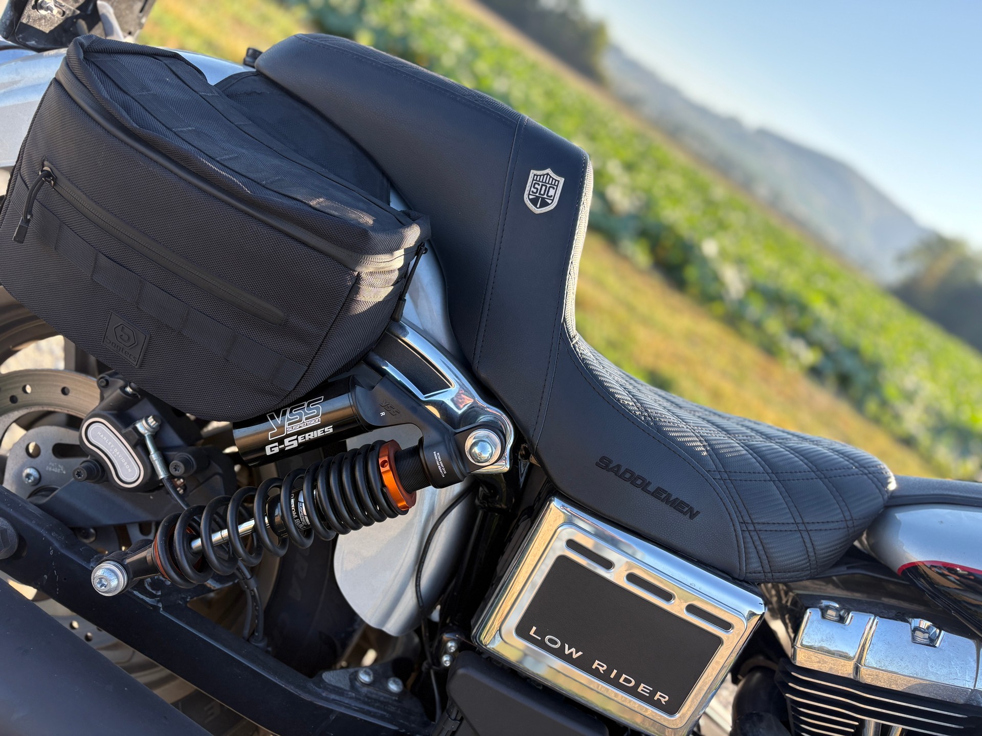 HARLEY-DAVIDSON FXDL Dyna Low Rider ABS-image-3