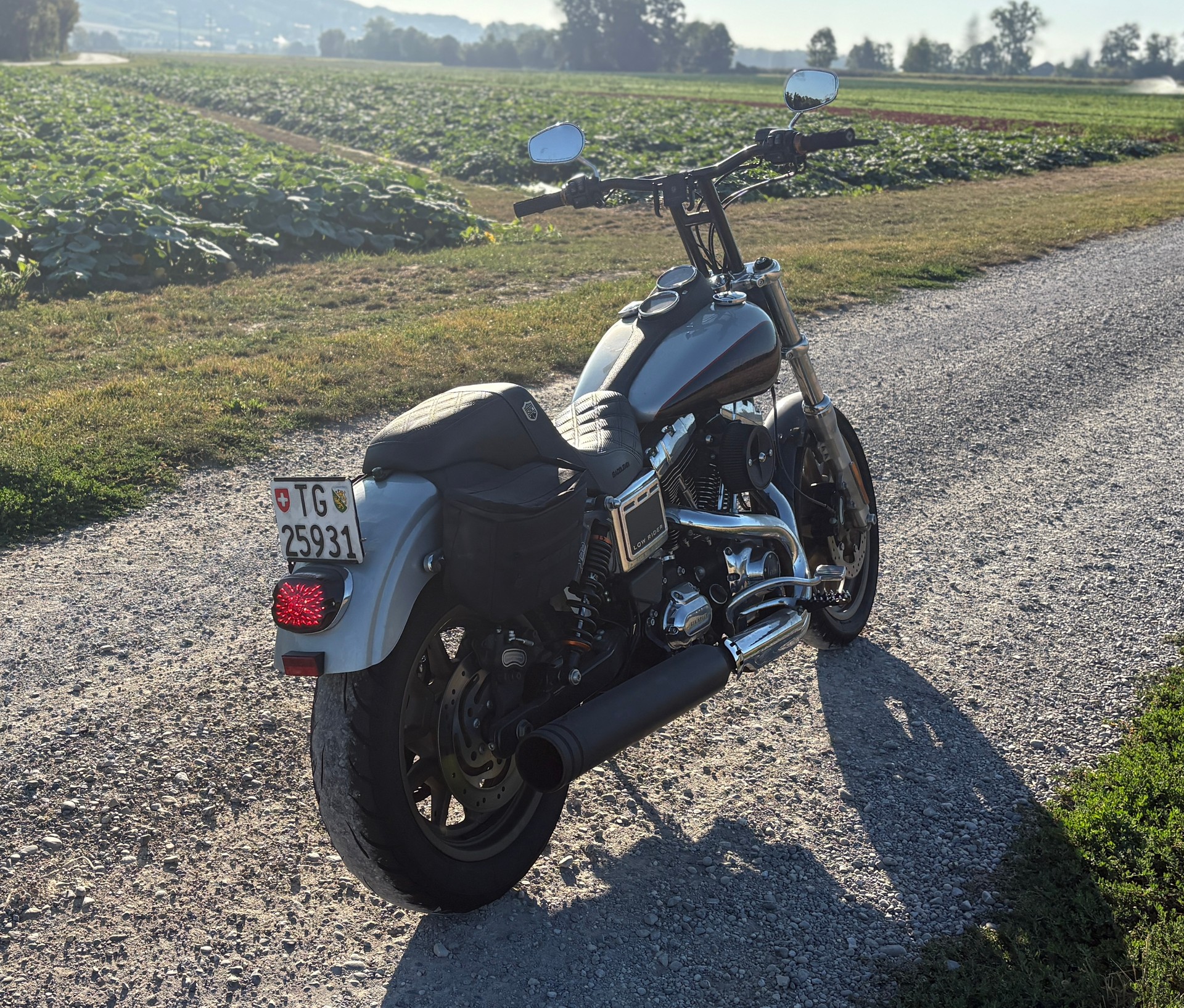 HARLEY-DAVIDSON FXDL Dyna Low Rider ABS-image-2