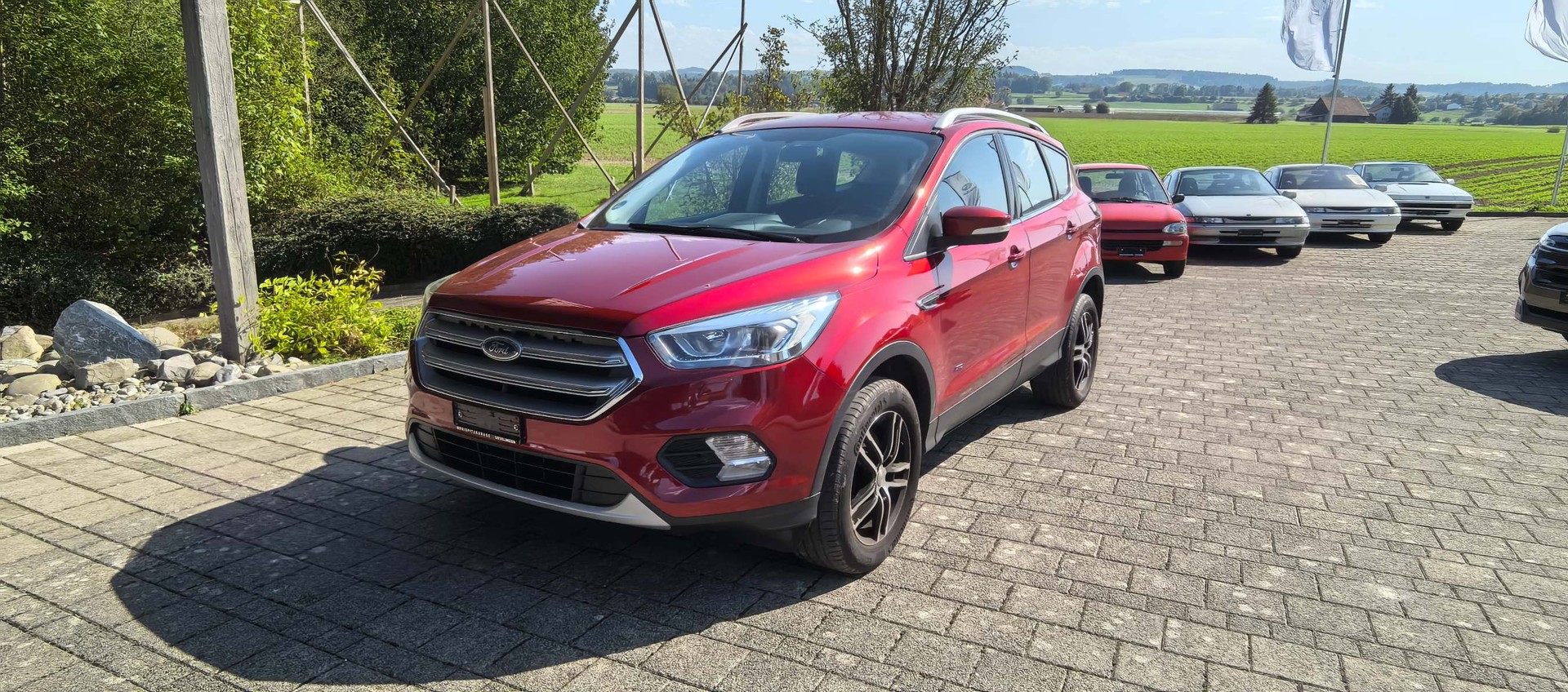 FORD Kuga 1.5 EcoB 182 Business 4WD Automatic