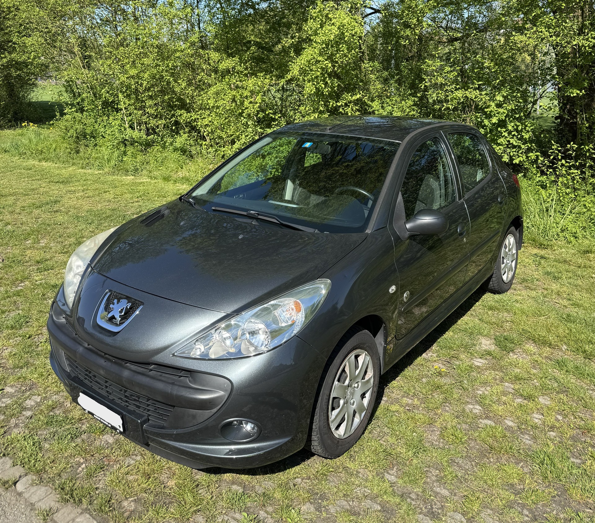 PEUGEOT 1.4 Trendy