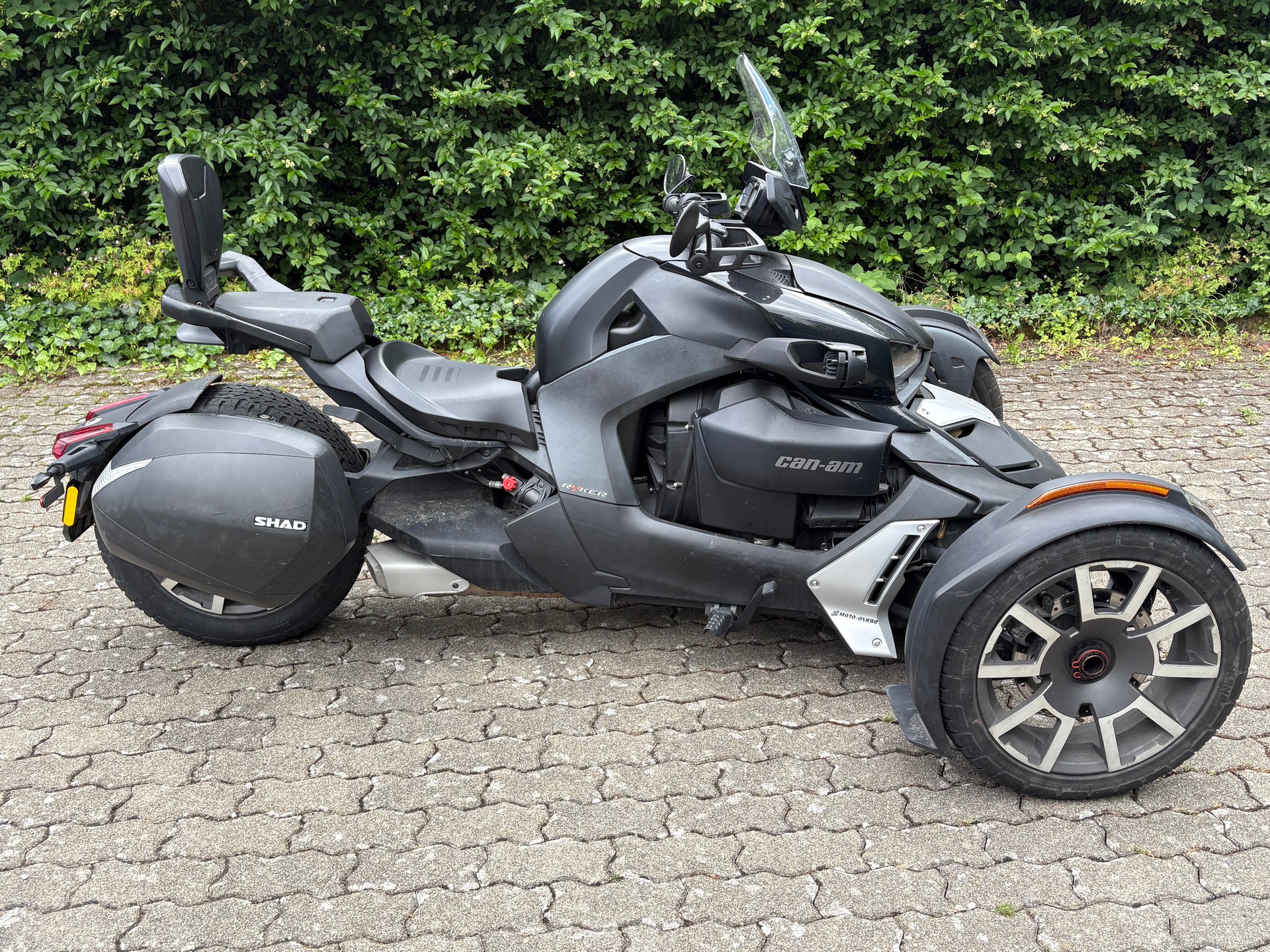 CAN-AM Ryker Ace 900 Rally Edition-image-2