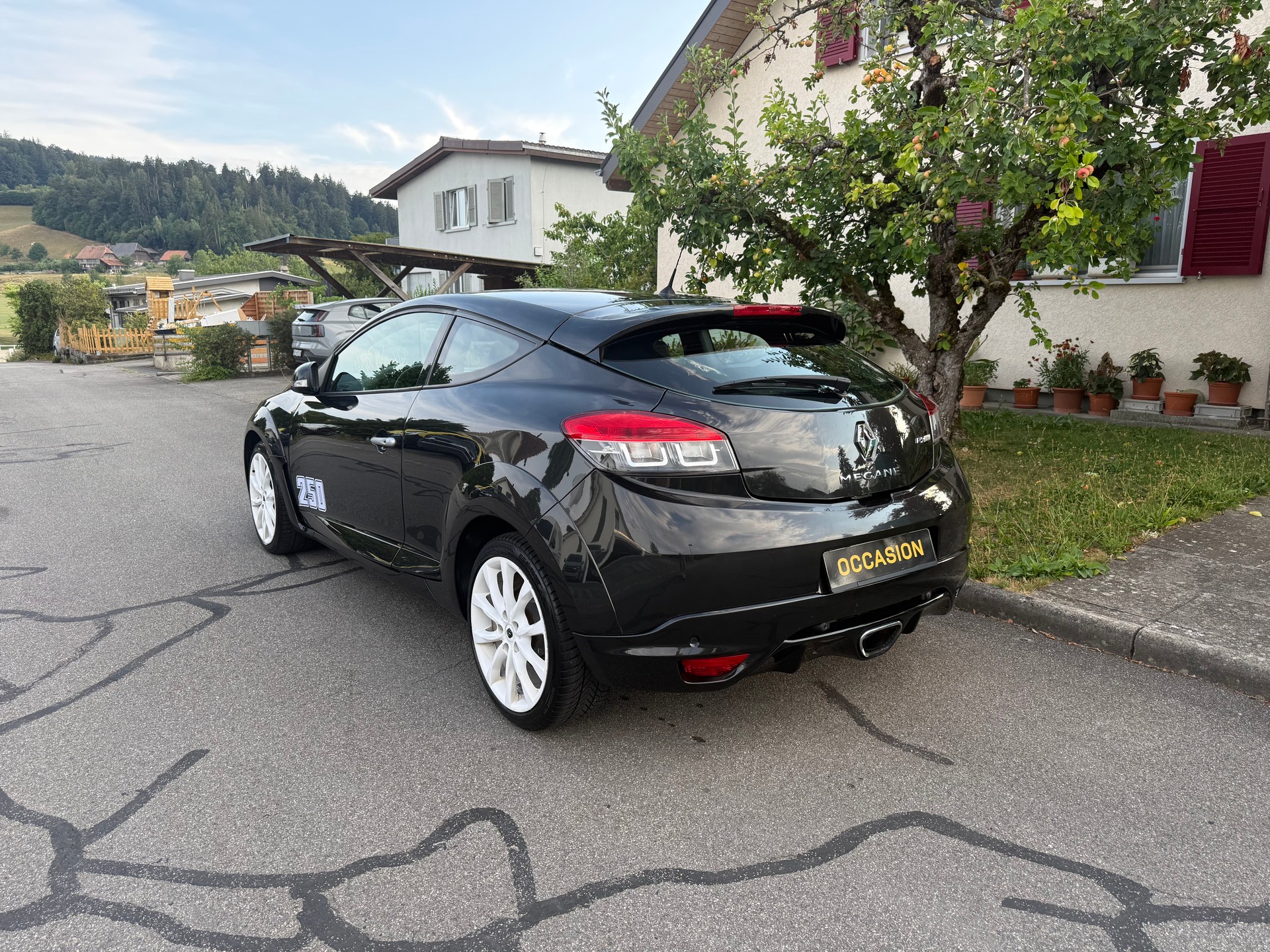RENAULT Mégane Coupé 2.0 16V Turbo RS-image-3