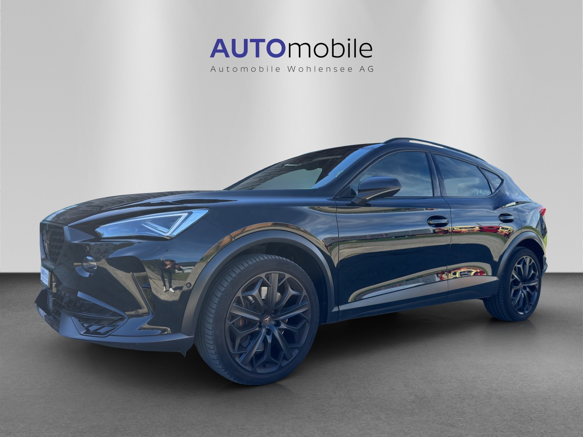 CUPRA Formentor 2.0TSI Tribe Edition DSG-showroom-element-1