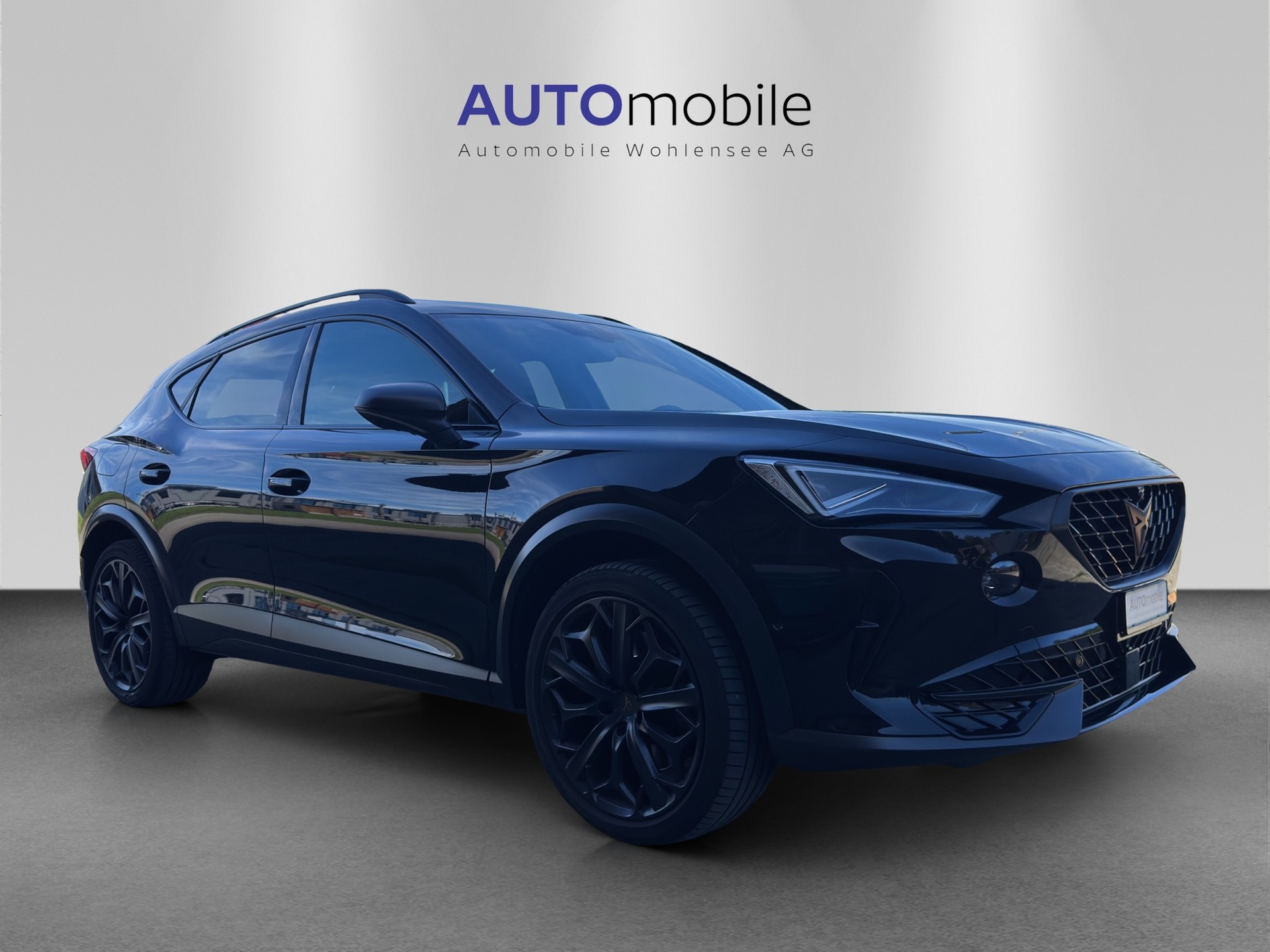CUPRA Formentor 2.0TSI Tribe Edition DSG-showroom-element-3