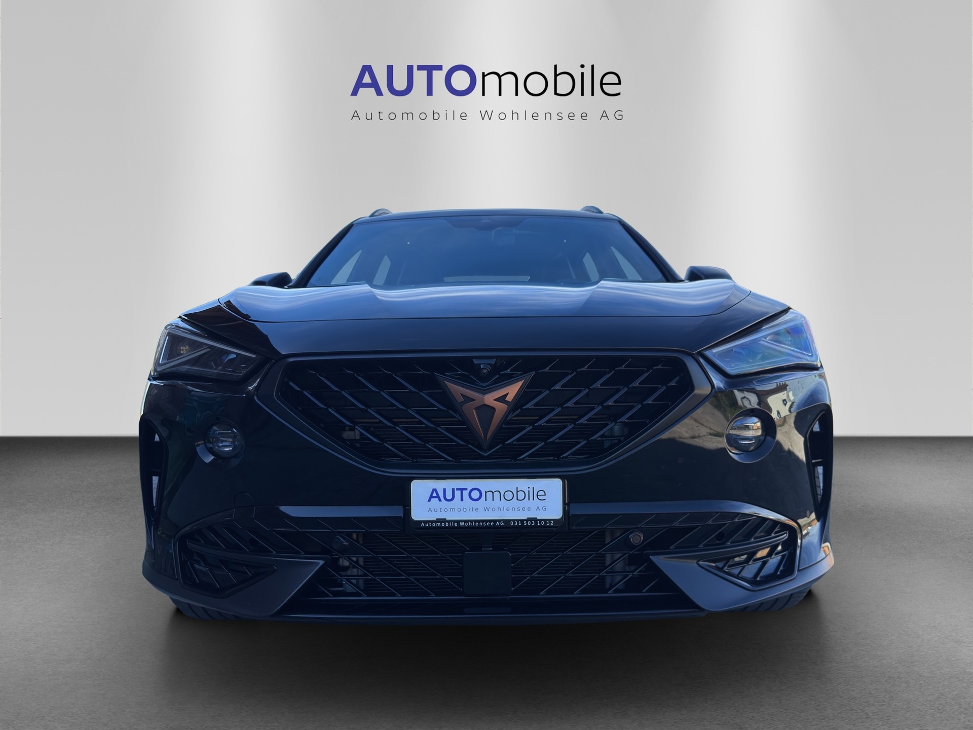 CUPRA Formentor 2.0TSI Tribe Edition DSG-showroom-element-2