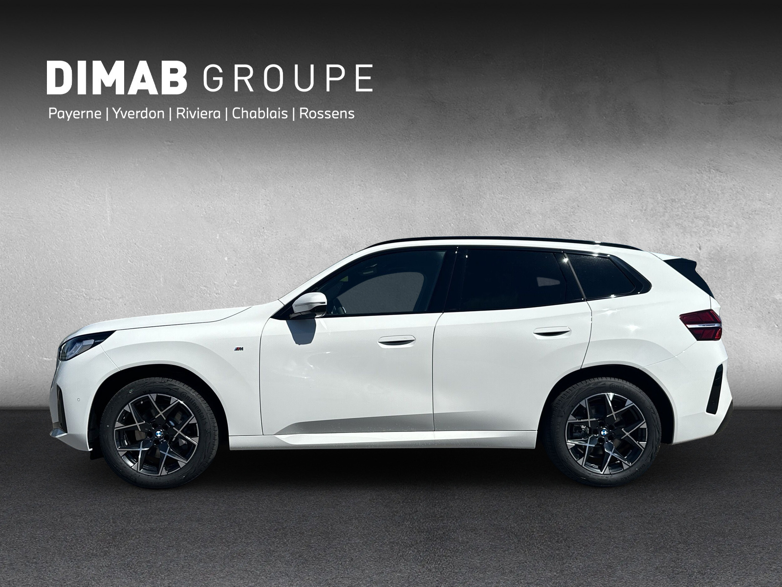 BMW X3 xDrive 48V 20d M Sport-showroom-element-1