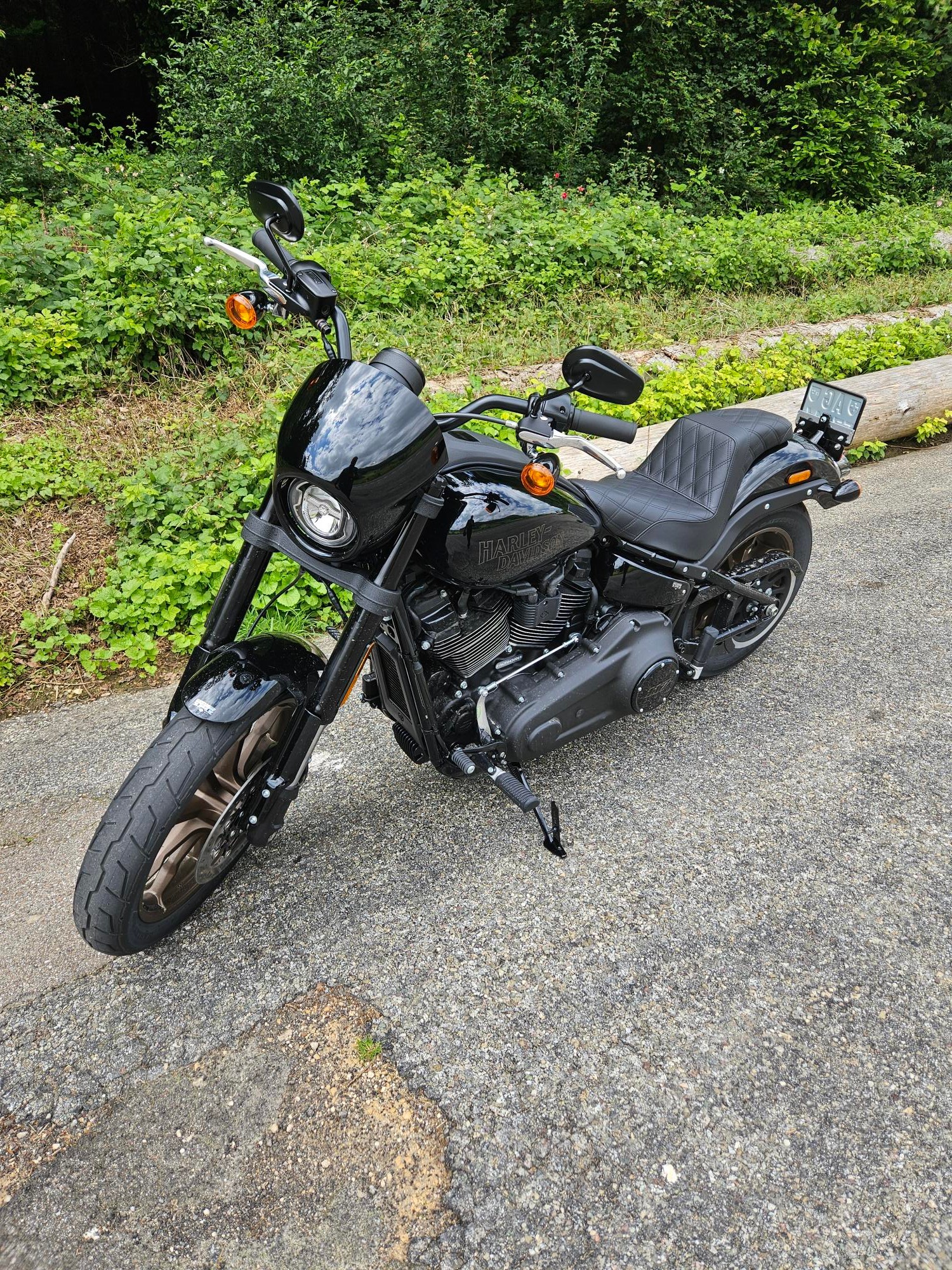 HARLEY-DAVIDSON FXLRS Low Rider S 117-image-1