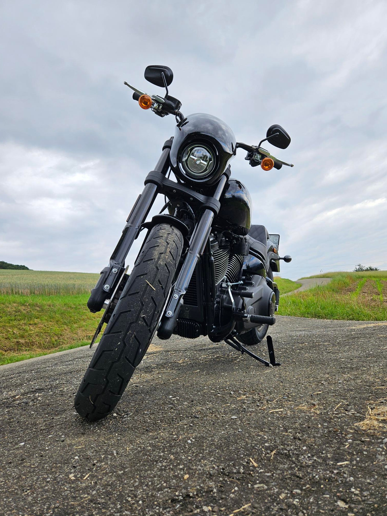 HARLEY-DAVIDSON FXLRS Low Rider S 117-image-4