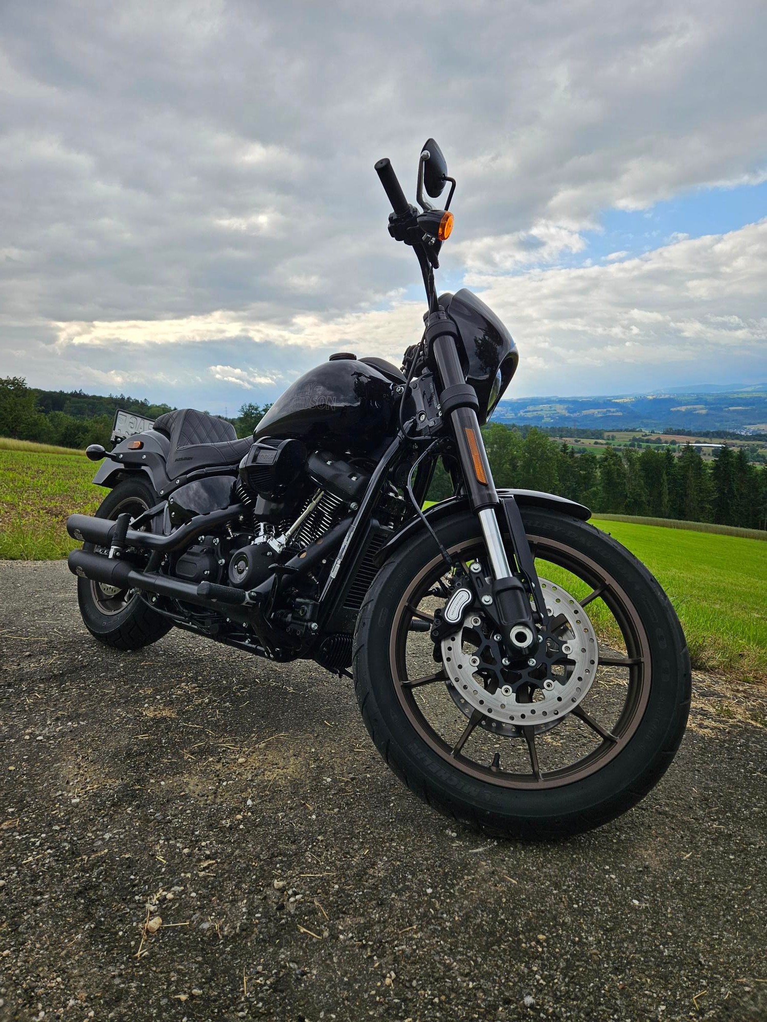 HARLEY-DAVIDSON FXLRS Low Rider S 117-image-3