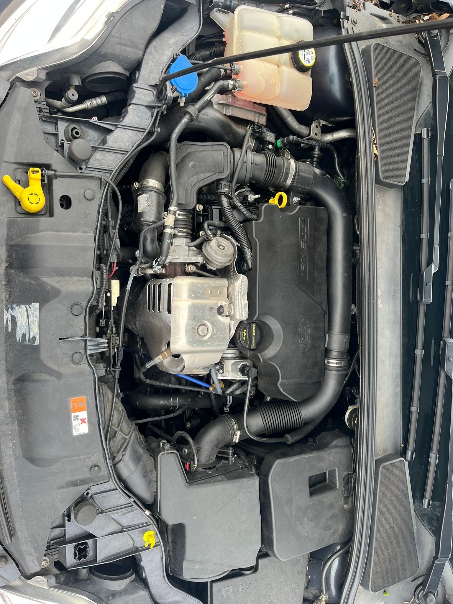 FORD Focus 1.0 SCTi Titanium-image-8