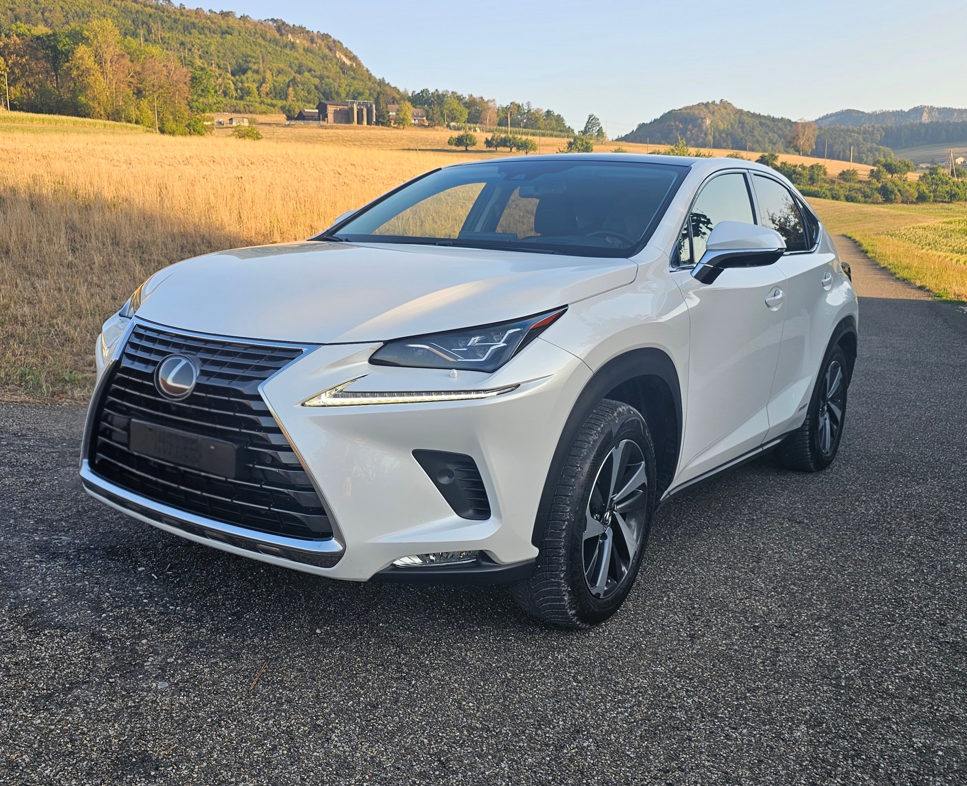 LEXUS 300h Excellence