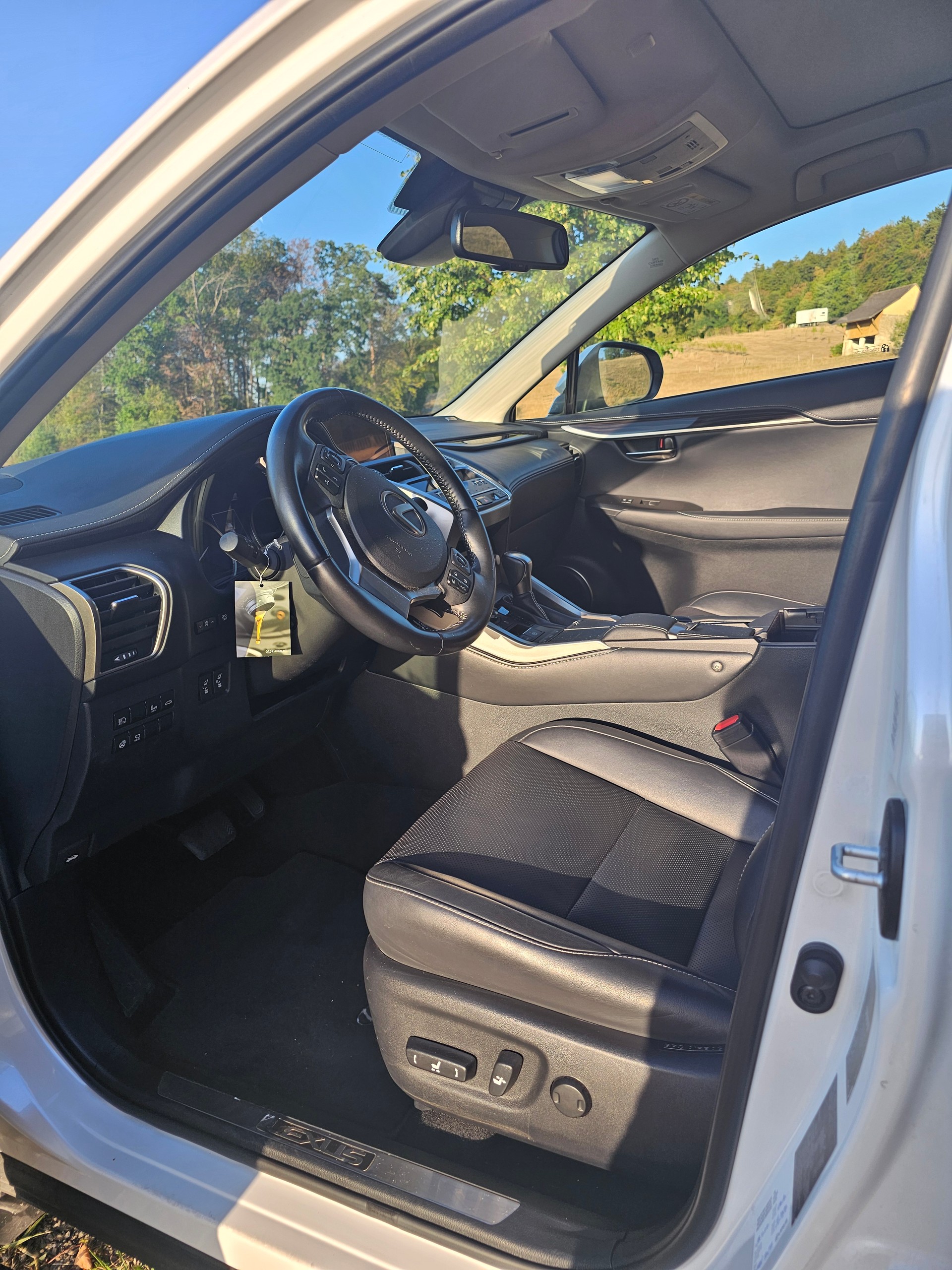 LEXUS 300h Excellence-image-3