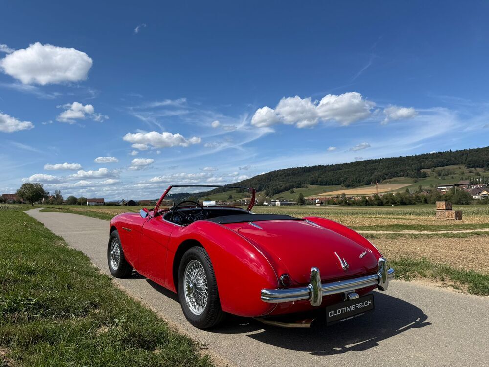 AUSTIN-HEALEY 100/4 BN1 – M-Spezifikation-image-1