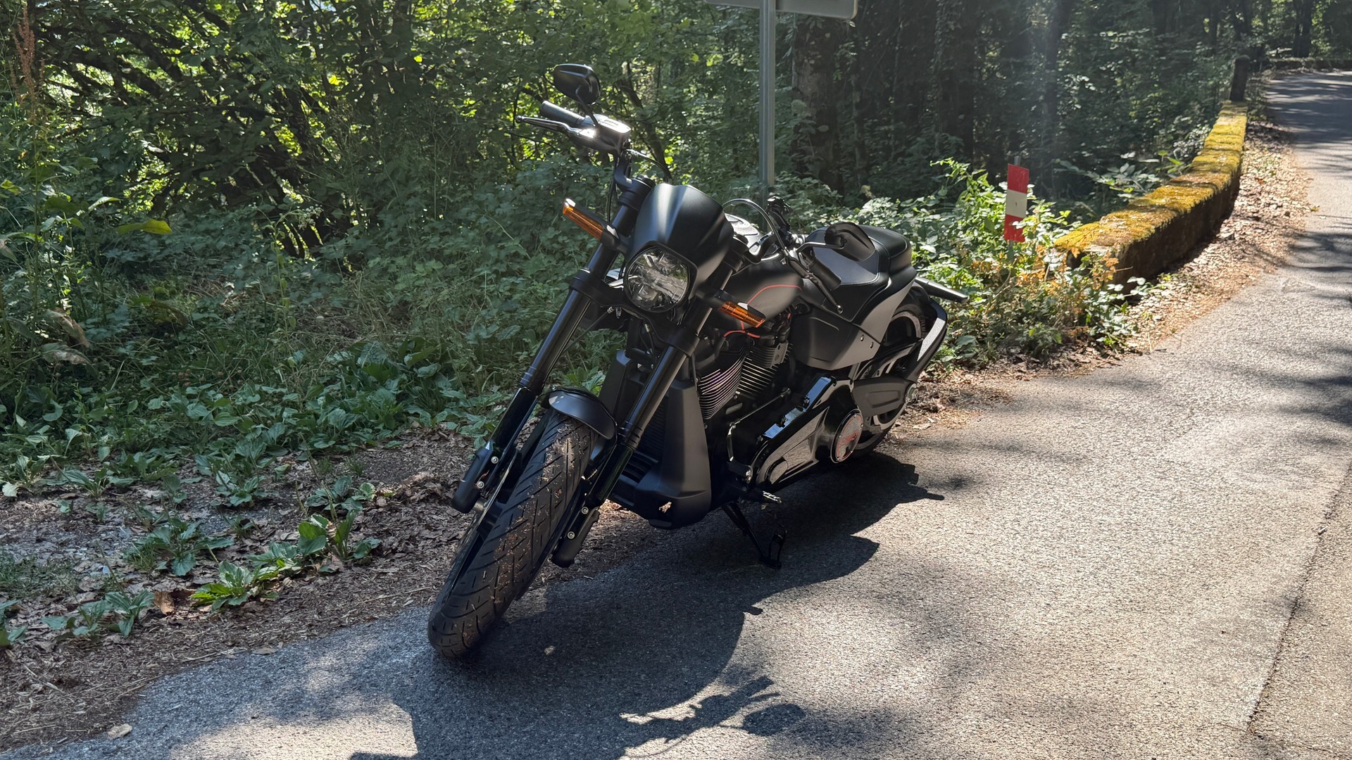 HARLEY-DAVIDSON FXDRS 114 ABS-image-2