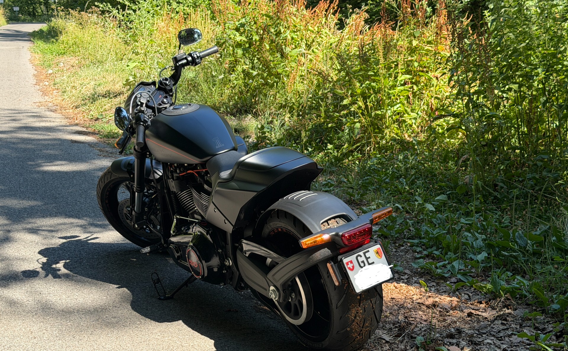 HARLEY-DAVIDSON FXDRS 114 ABS-image-4